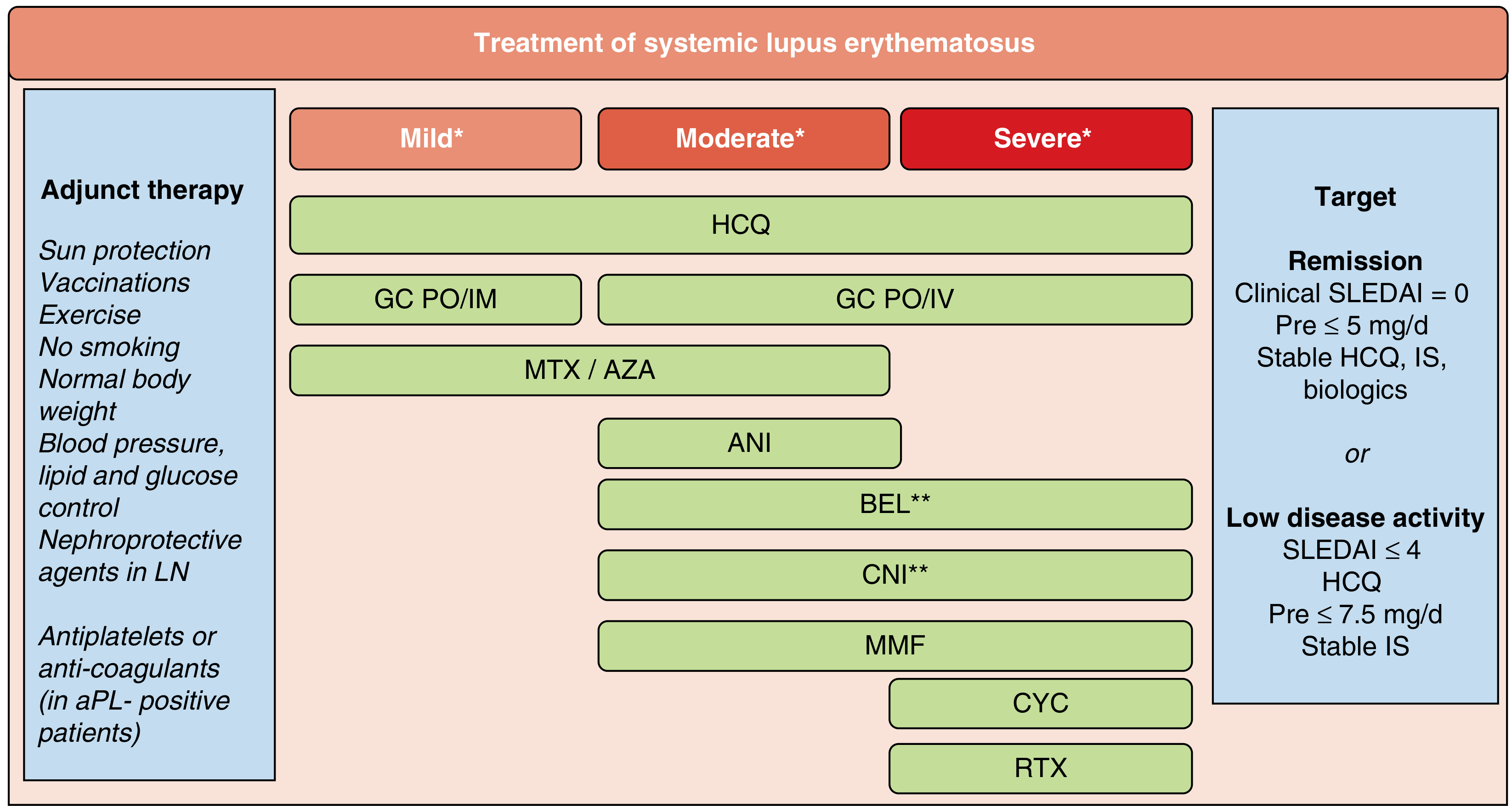 SLE treatment flowchart by disease severity