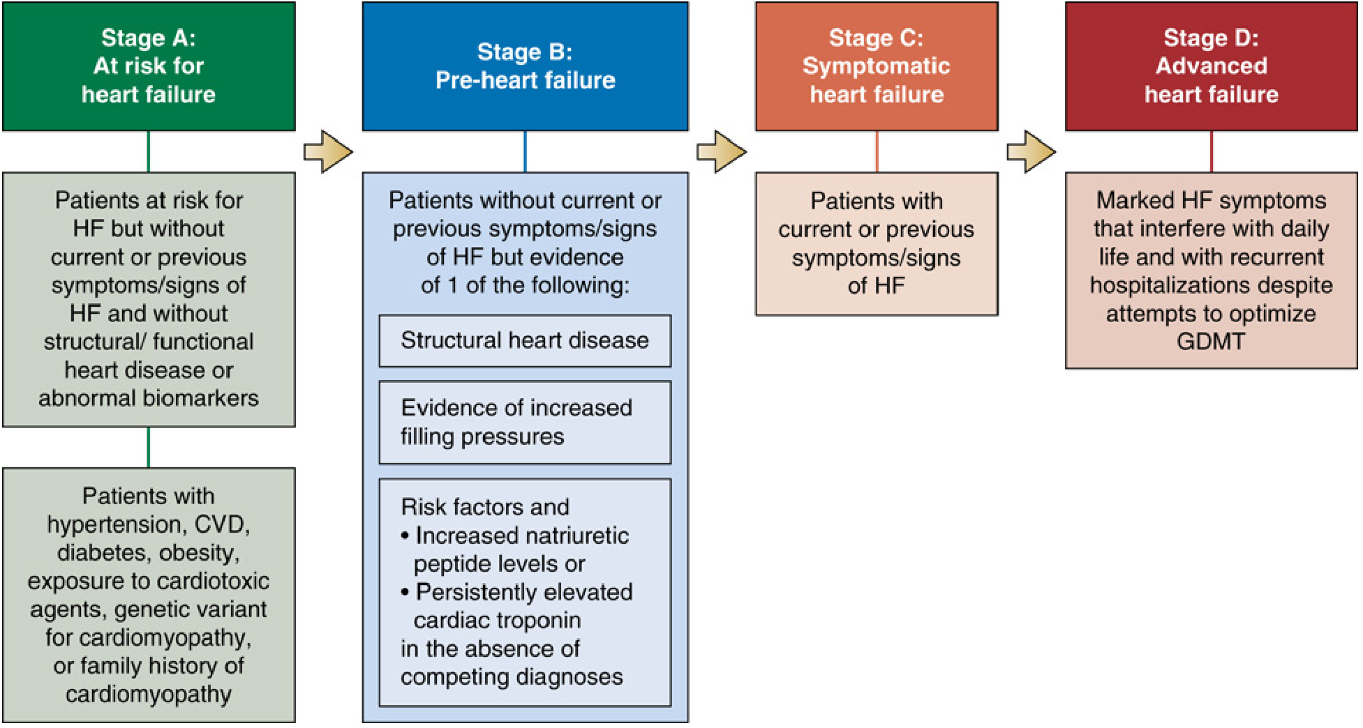 2022 ACC/AHA Heart Failure Stages