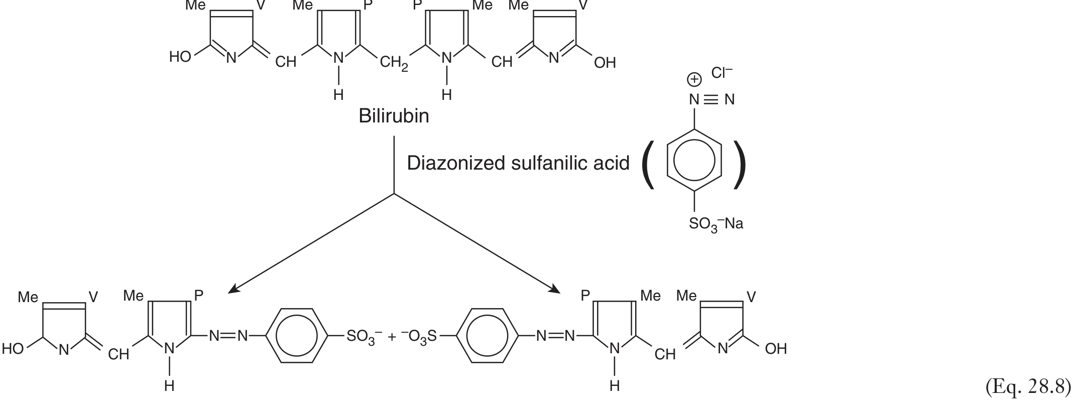 Bilirubin diazo reaction with diazonized sulfanilic acid producing two phenyl-azo adducts