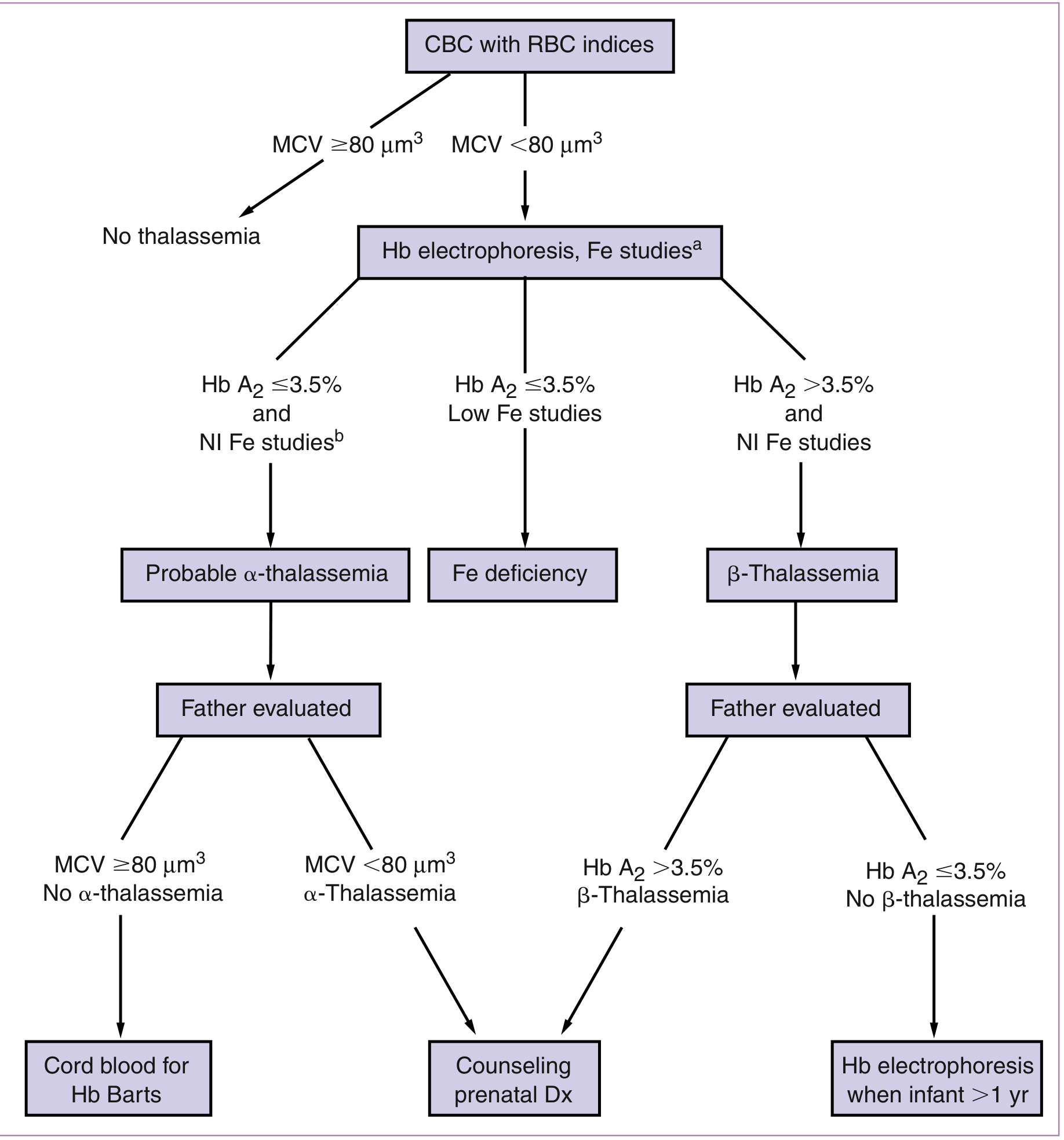 Thalassemia screening flowchart: CBC β MCV <80 β Hb electrophoresis + Fe studies β Ξ± vs Ξ² thalassemia diagnosis β paternal testing β prenatal diagnosis if both parents carriers