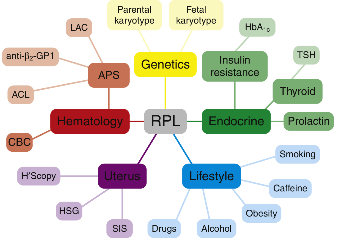 RPL causes diagram showing Genetics, APS/Hematology, Endocrine, Uterus, and Lifestyle factors