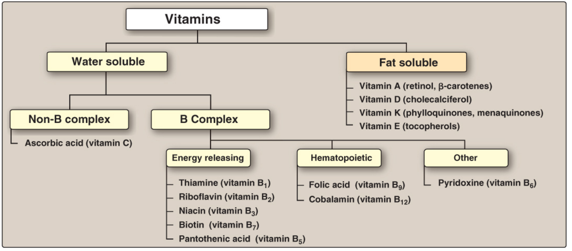 Classification of vitamins
