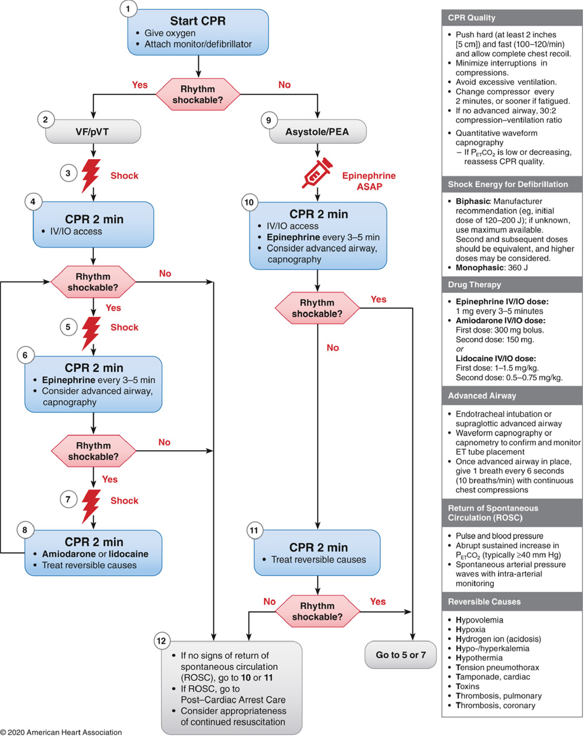 2020 AHA Adult Cardiac Arrest Algorithm