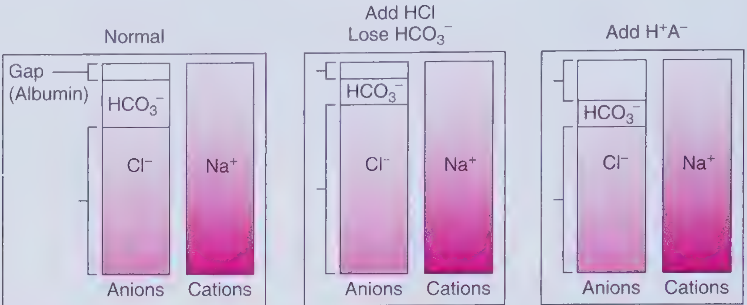 AG diagram showing non-AG vs AG metabolic acidosis