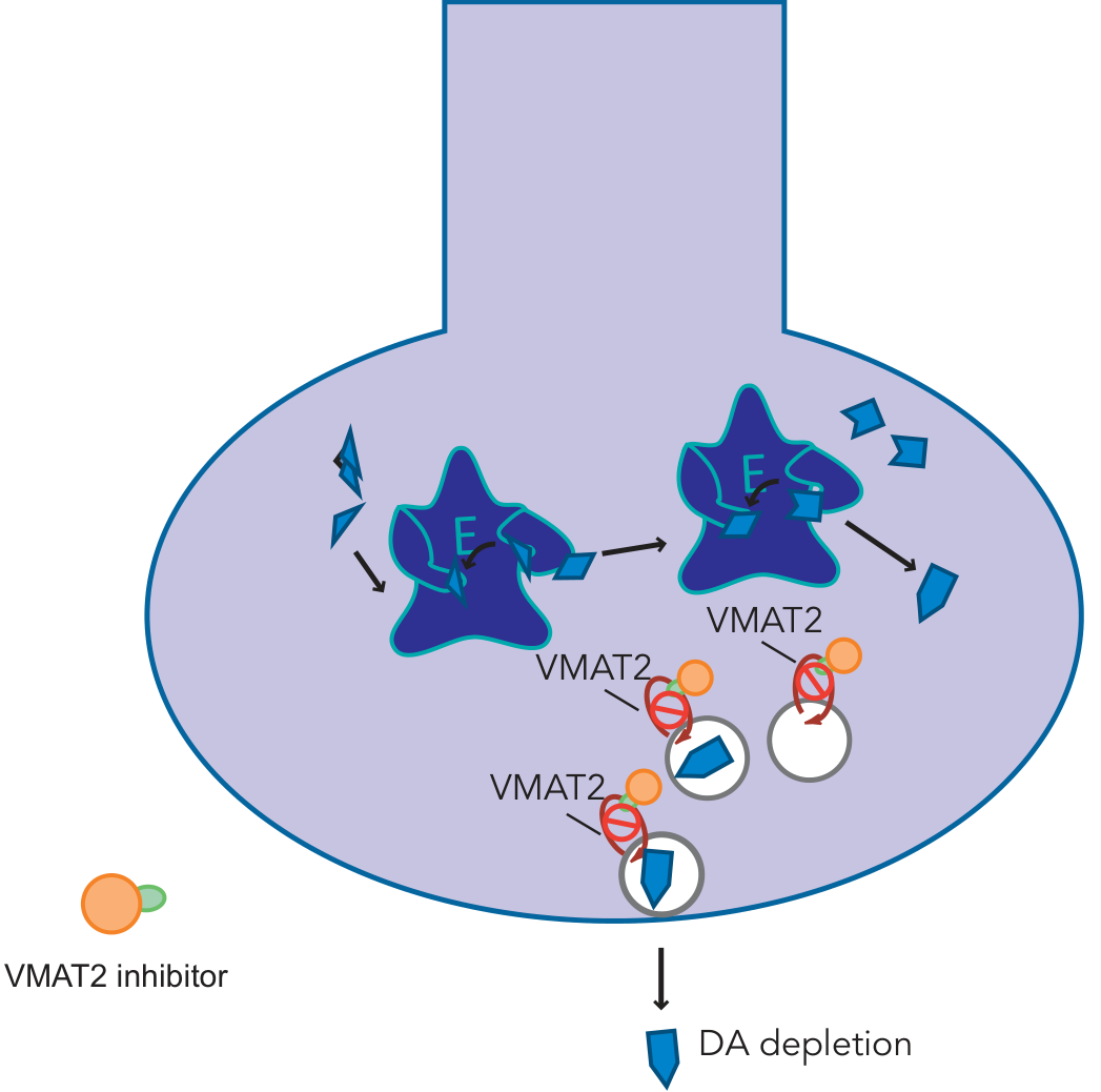 VMAT2 inhibitor blocking dopamine packaging → dopamine depletion - Stahl's Essential Psychopharmacology