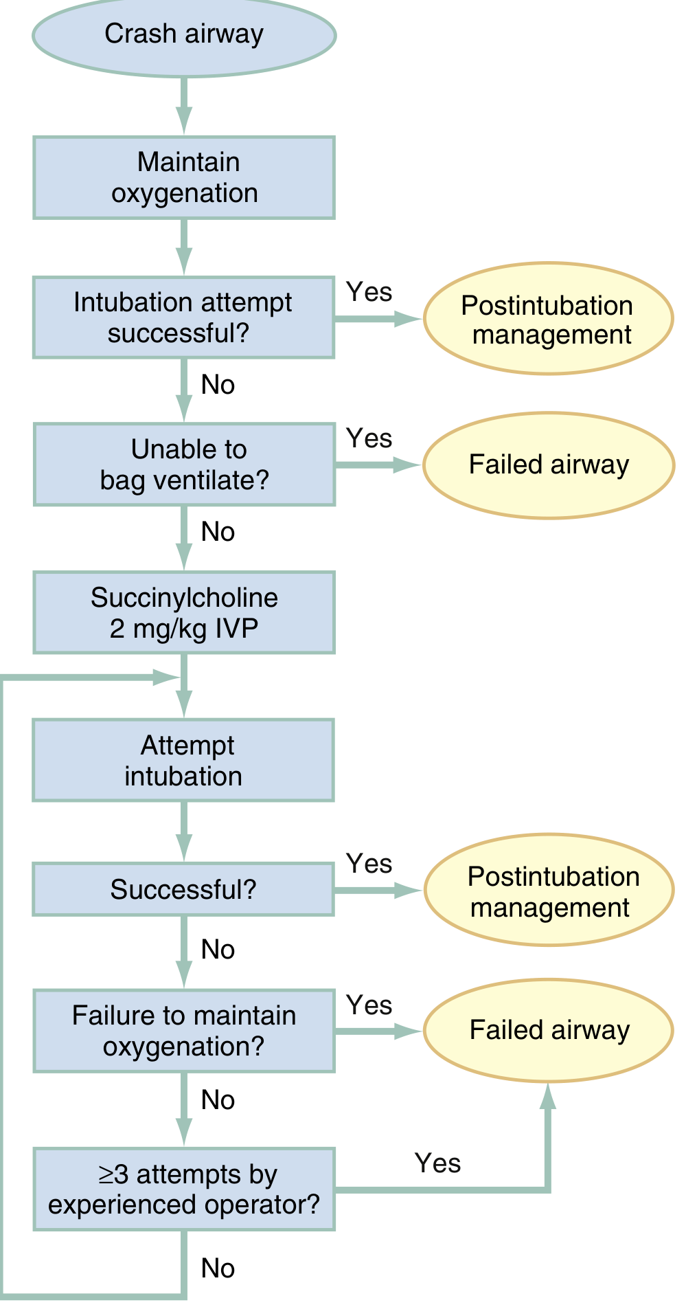 Crash Airway Algorithm
