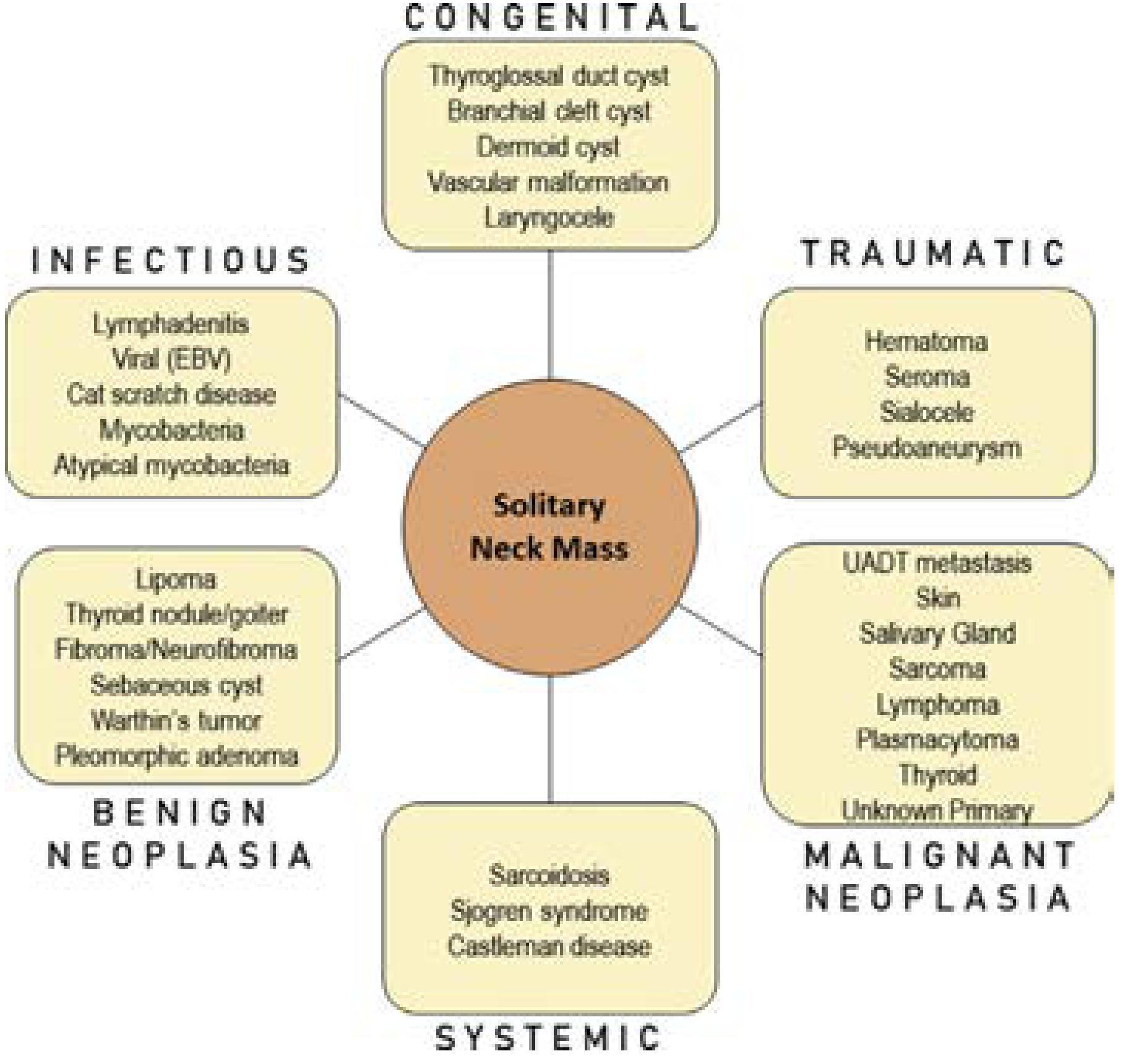 Differential diagnosis of the solitary neck mass