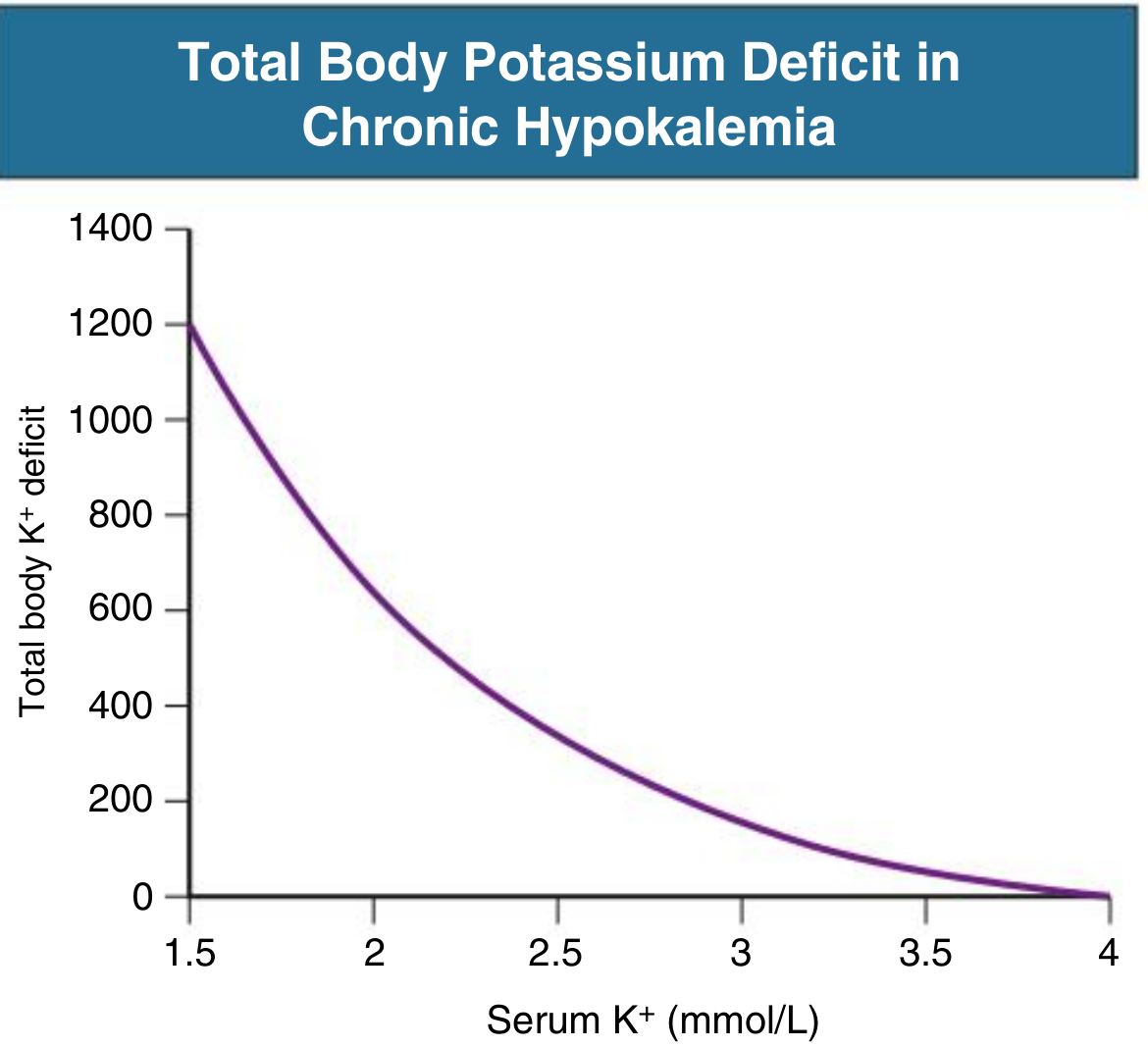 Total Body Potassium Deficit in Chronic Hypokalemia