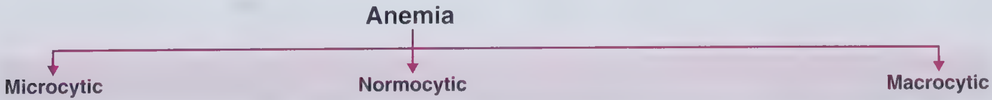 Anemia classification by MCV