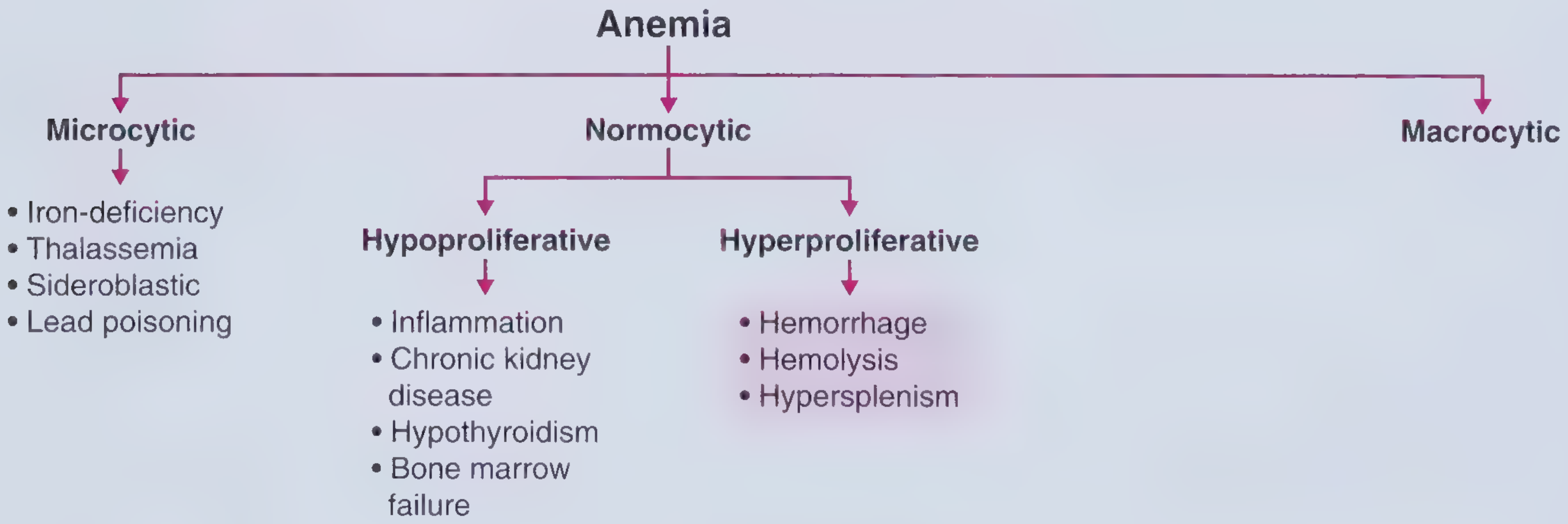 Anemia classification flowchart showing microcytic, normocytic (hypoproliferative and hyperproliferative), and macrocytic types