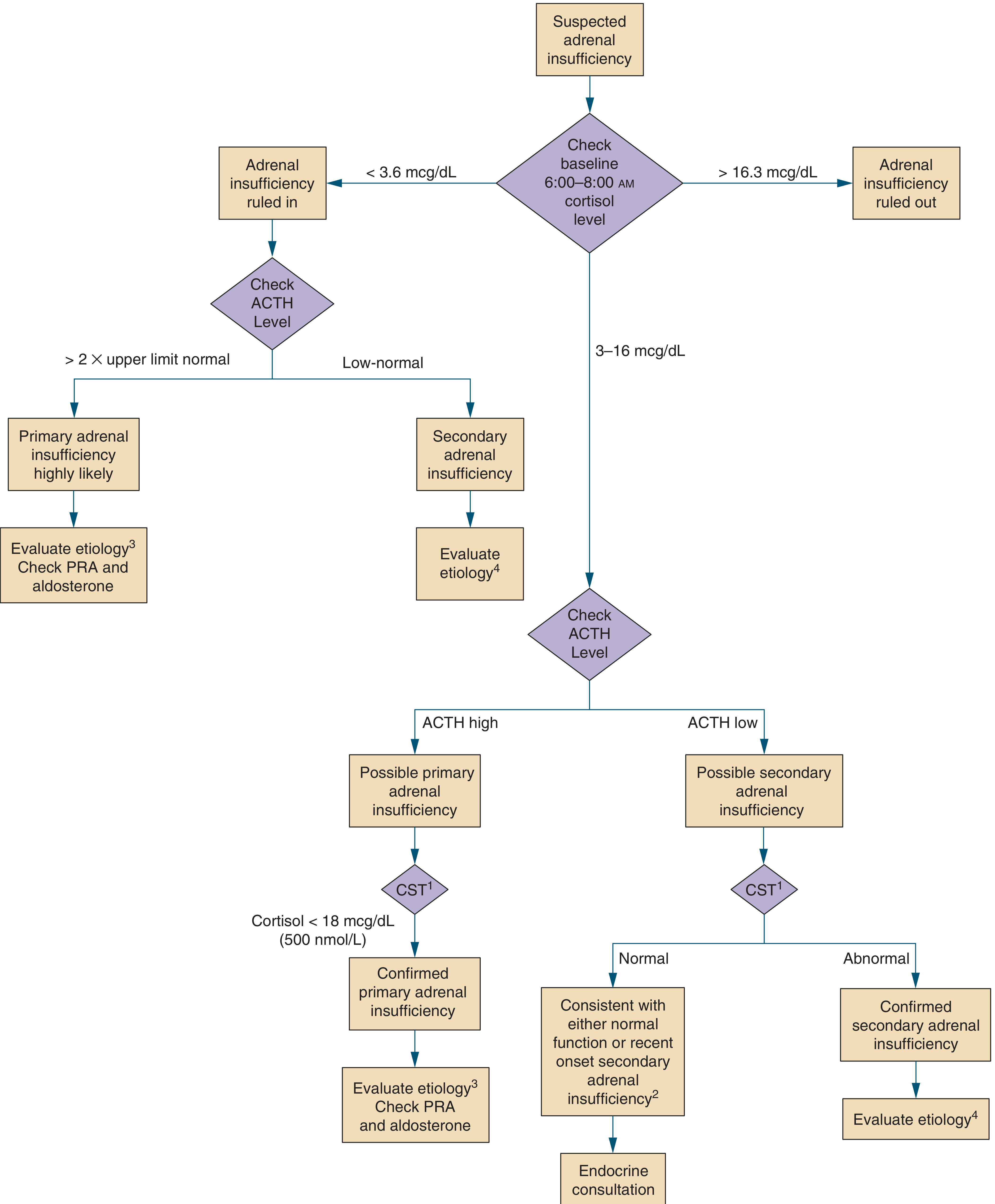 Diagnostic approach to suspected adrenal insufficiency