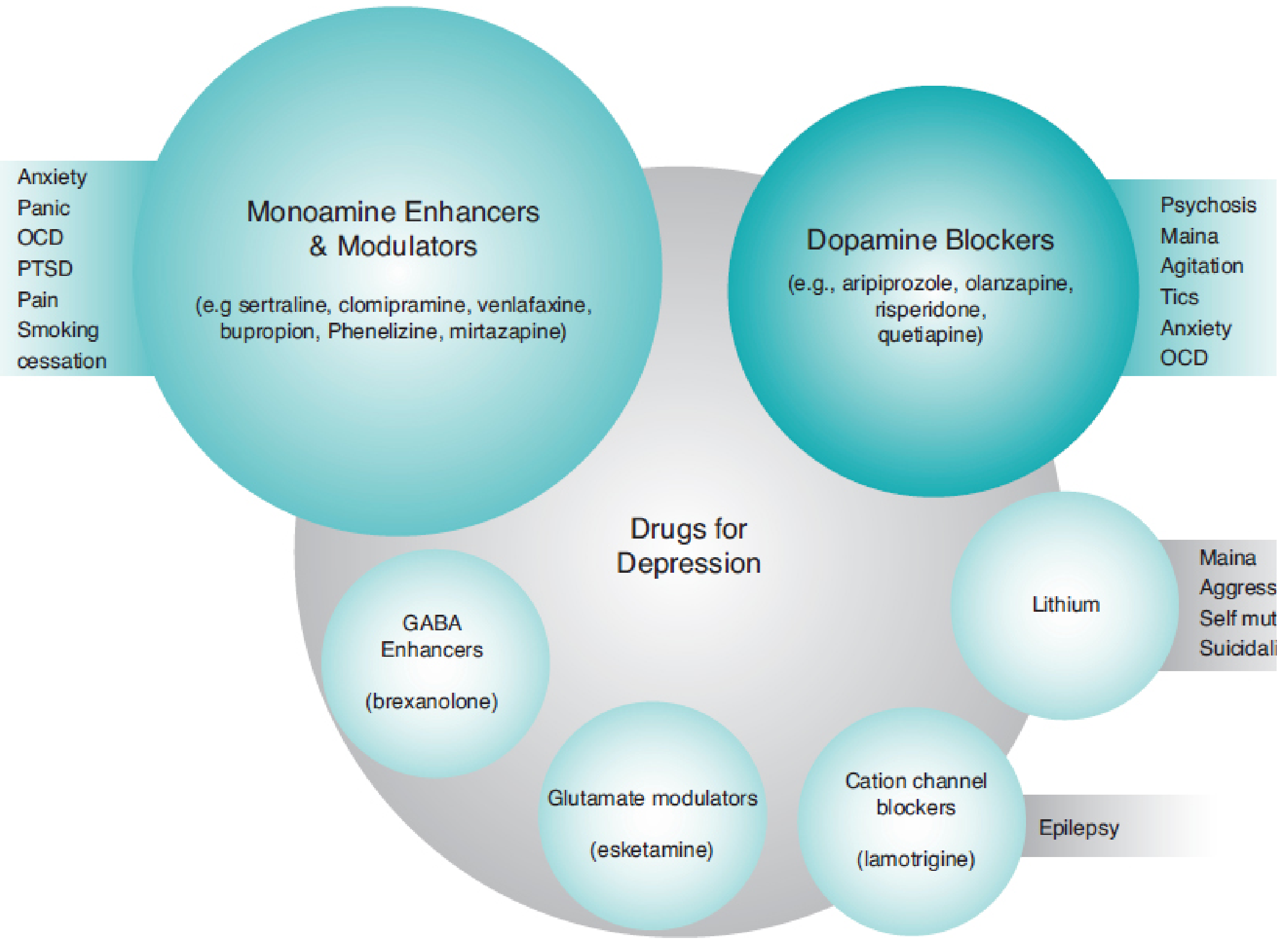 Drugs for Depression - Kaplan Comprehensive Textbook