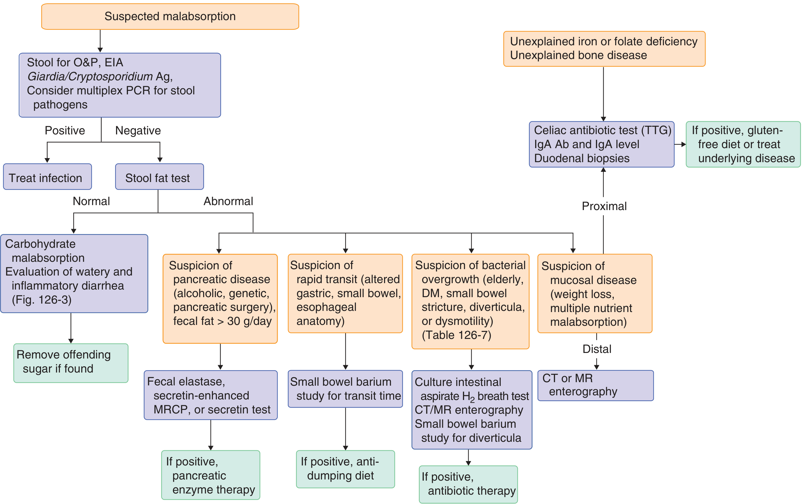 Approach to the diagnosis of malabsorption