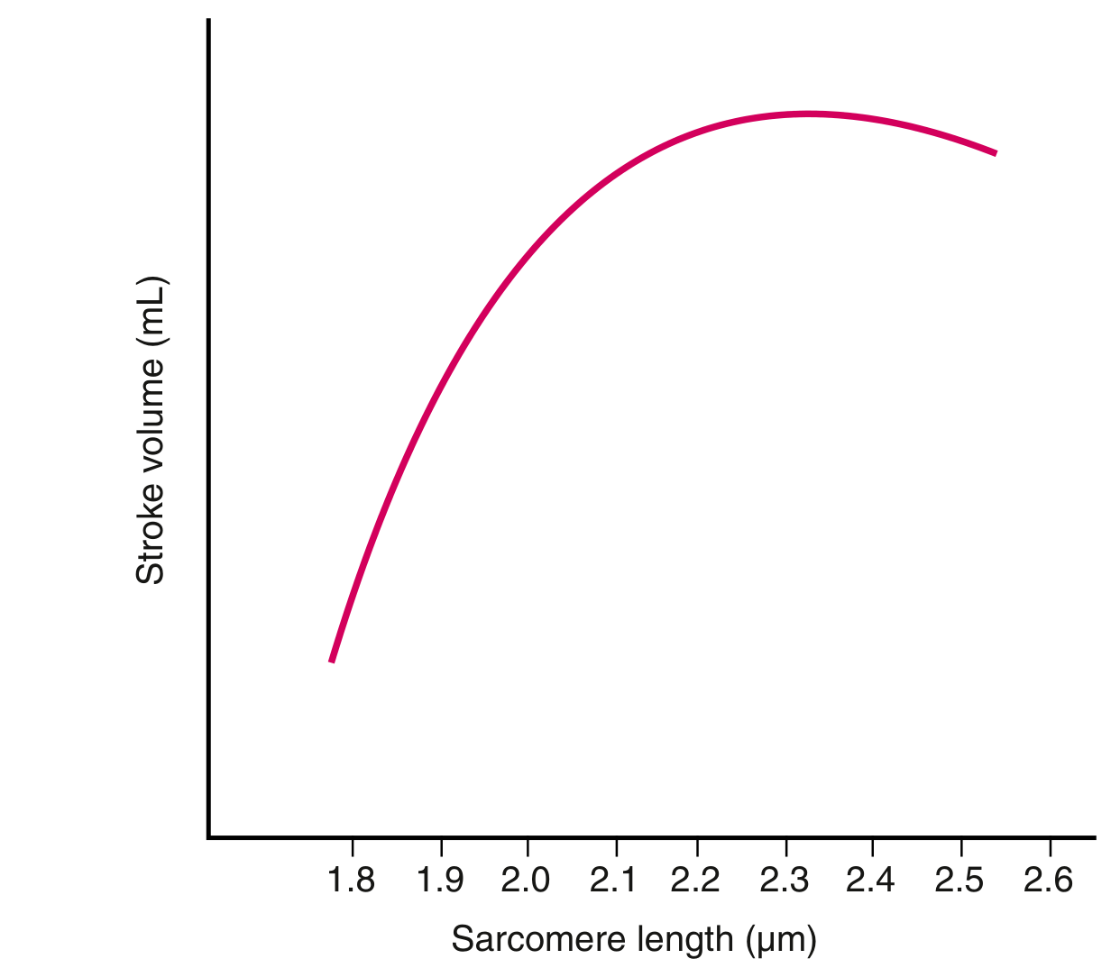 Frank-Starling law: Stroke volume increases with sarcomere length up to optimal ~2.3 Β΅m then declines
