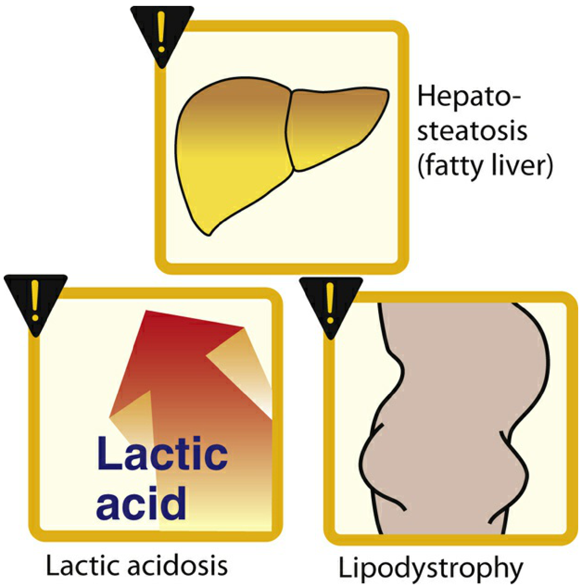 Adverse reactions of nucleoside analogs: hepatosteatosis, lactic acidosis, lipodystrophy
