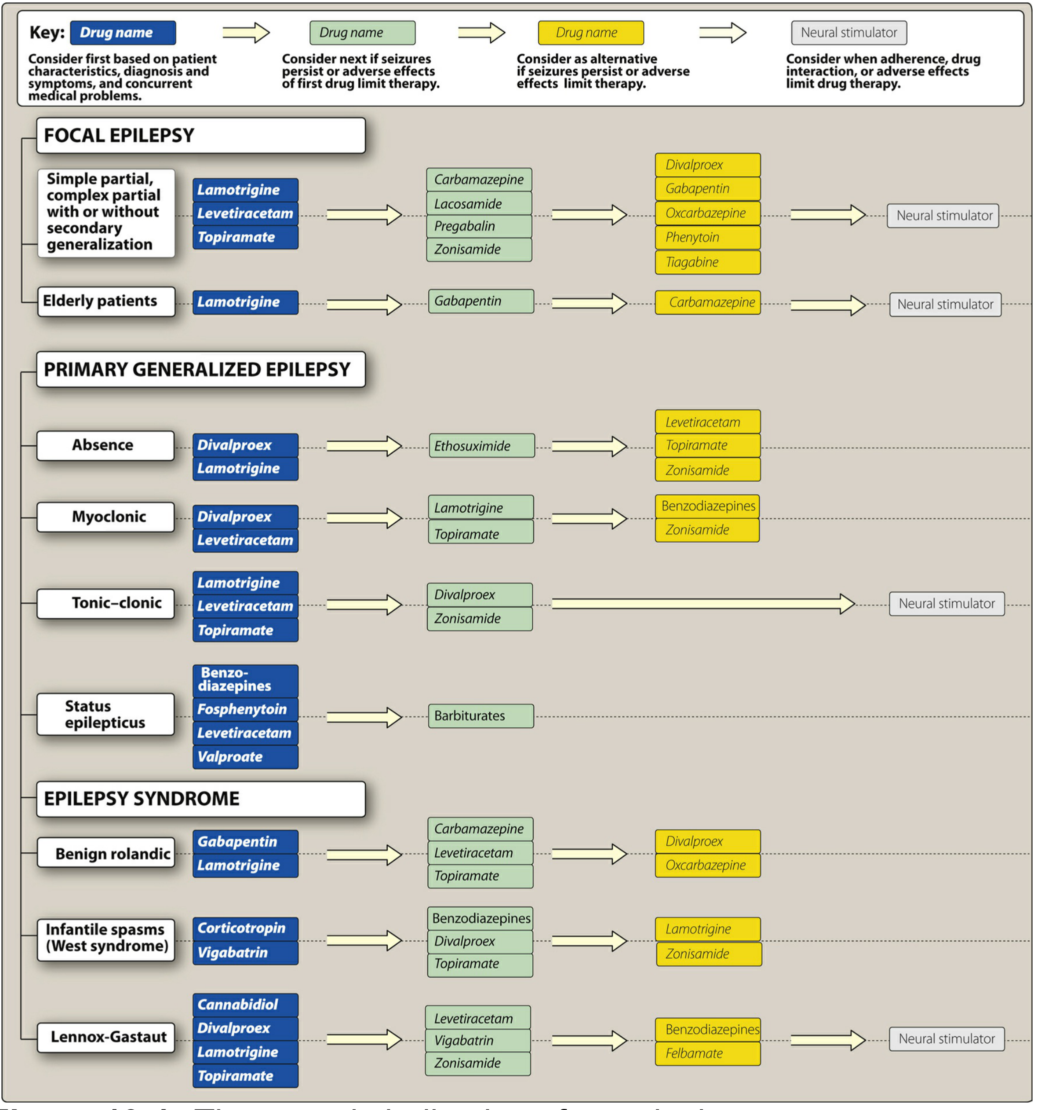 Therapeutic indications for antiseizure agents by seizure type