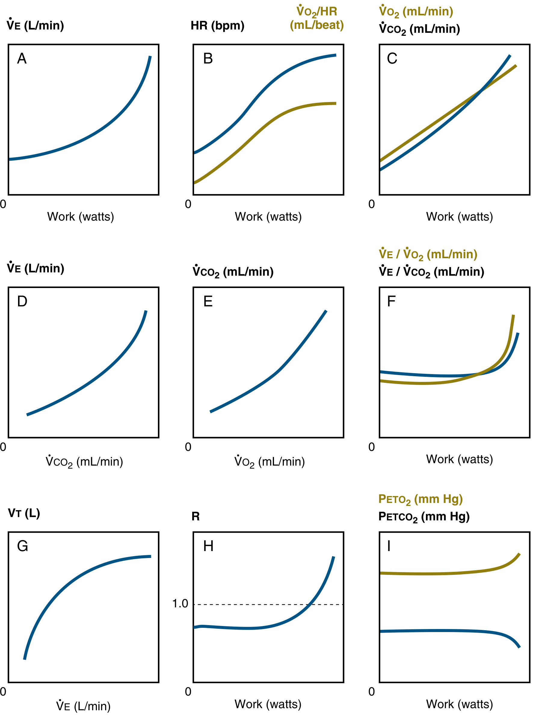 CPET nine-box plot showing normal responses to exercise including ventilation, VO2, VCO2, tidal volume, and gas exchange parameters