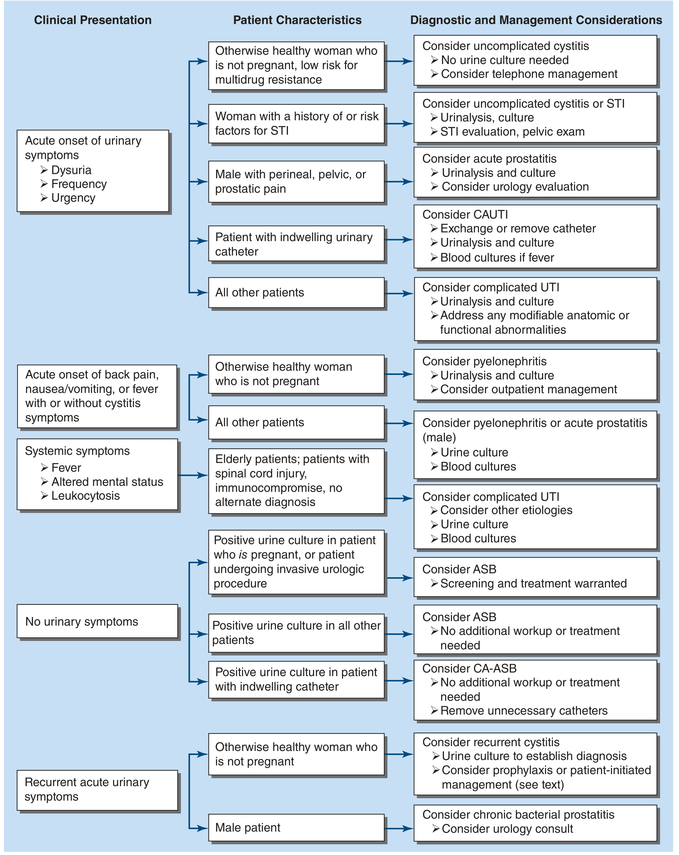 Diagnostic approach to UTI/dysuria - Harrison's Principles of Internal Medicine 22E