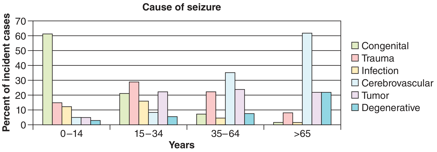 Causes of Seizure by Age Group