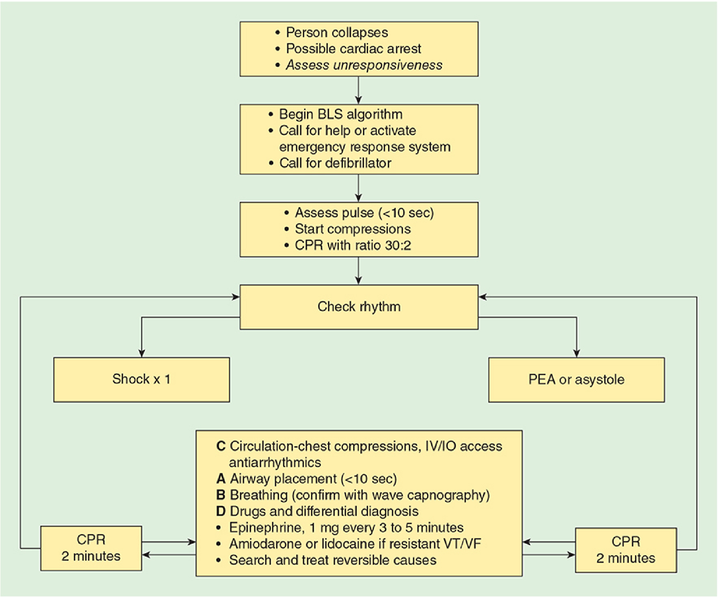 Comprehensive ECC Algorithm