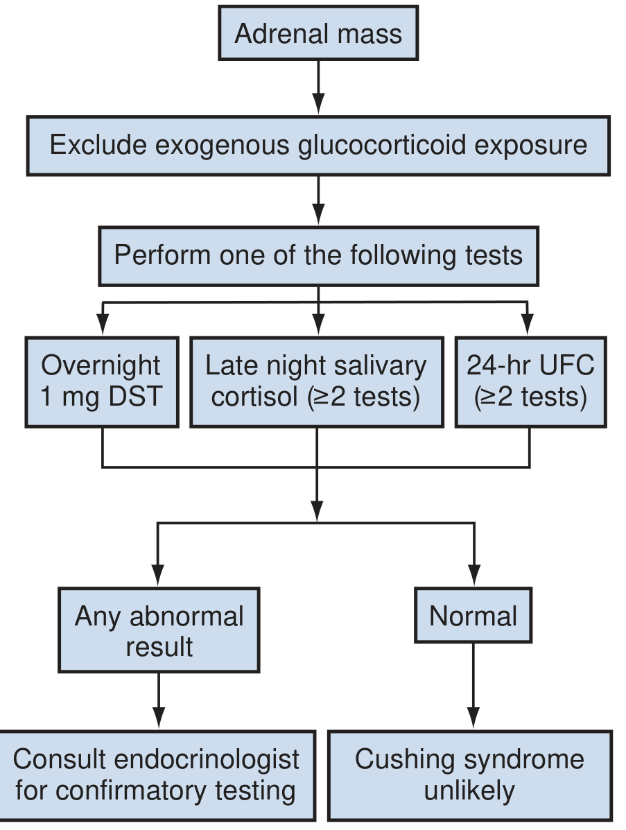Adrenal mass Cushing workup algorithm