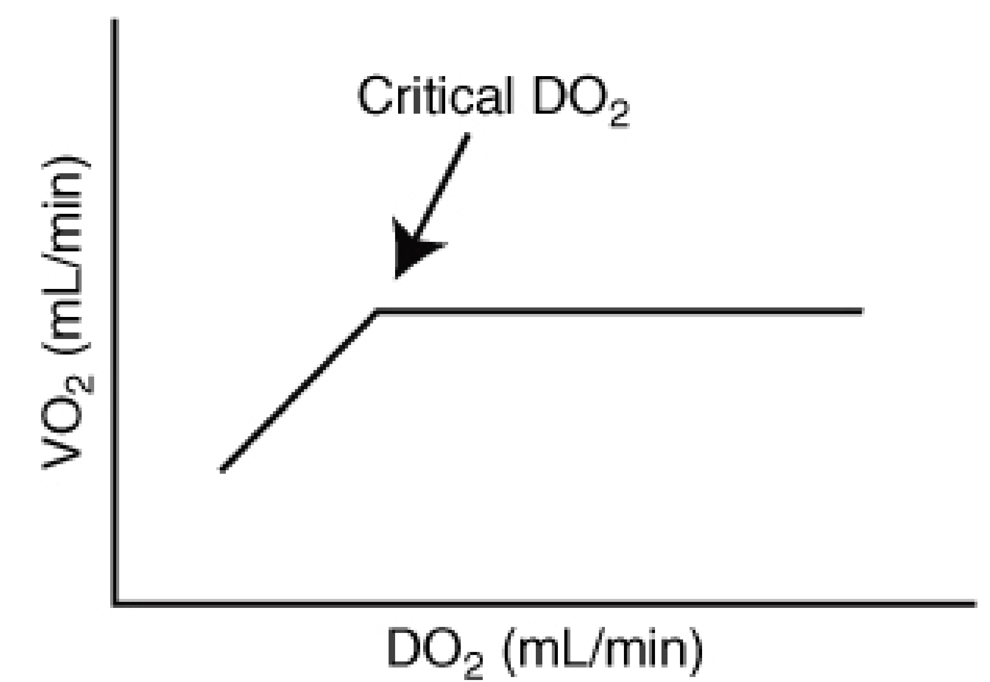 Graph showing VO₂ vs DO₂ - VO₂ is constant above critical DO₂ and falls linearly below it