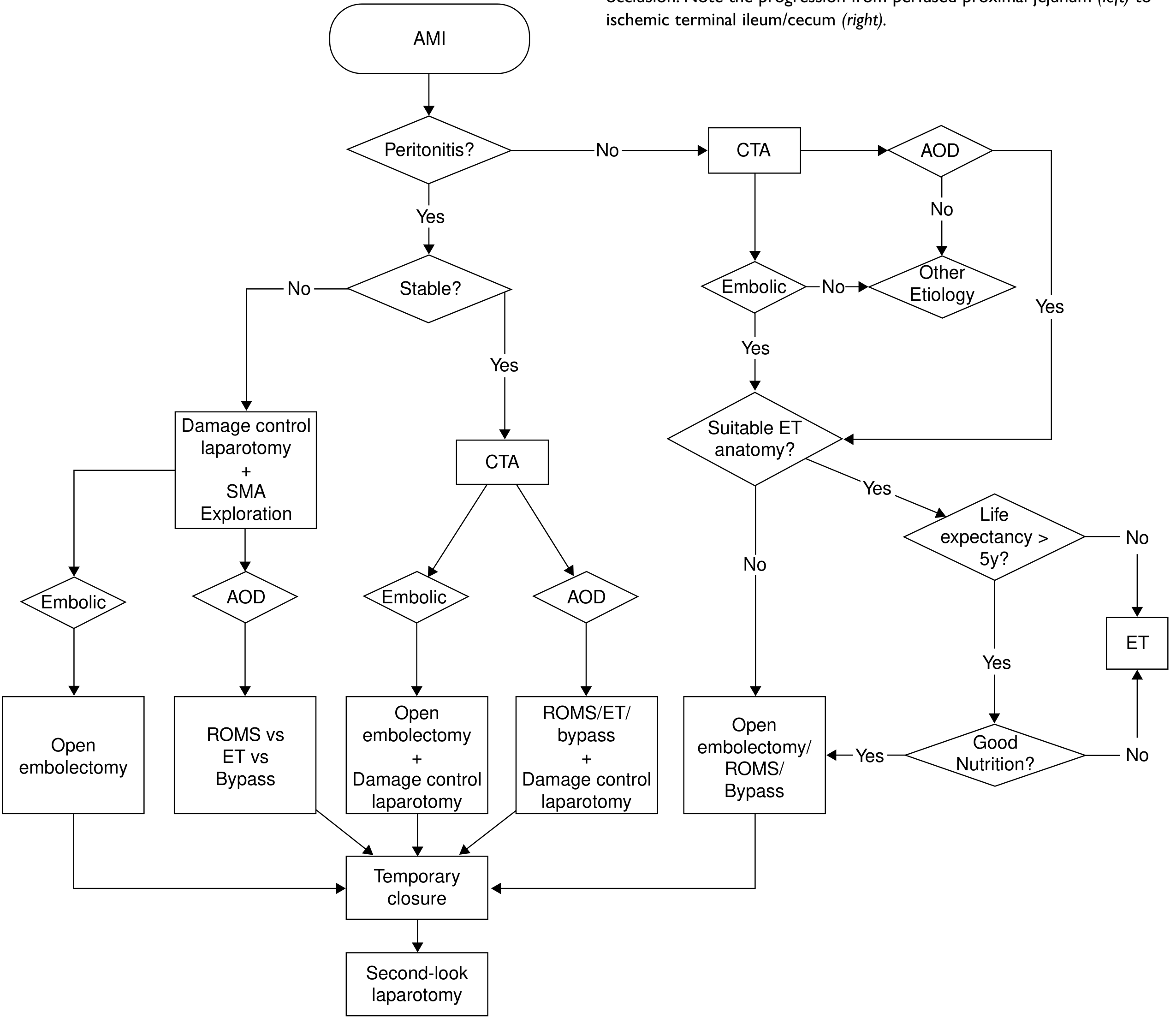 FIG. 3 — Open vs Endovascular algorithm