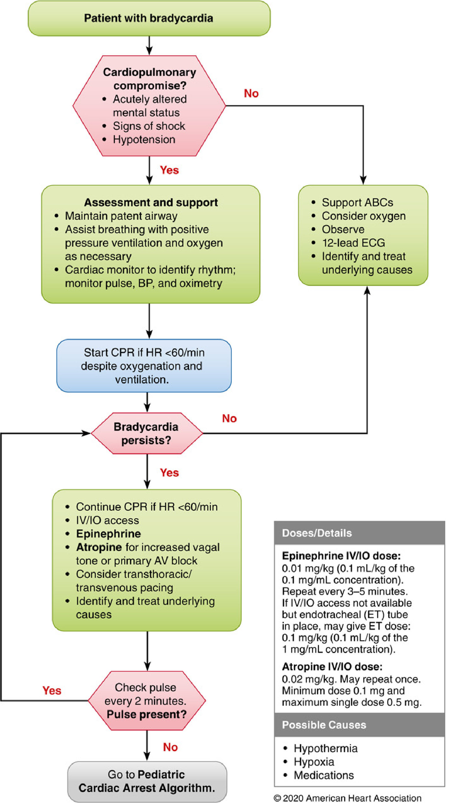 AHA 2020 Pediatric Bradycardia with a Pulse Algorithm
