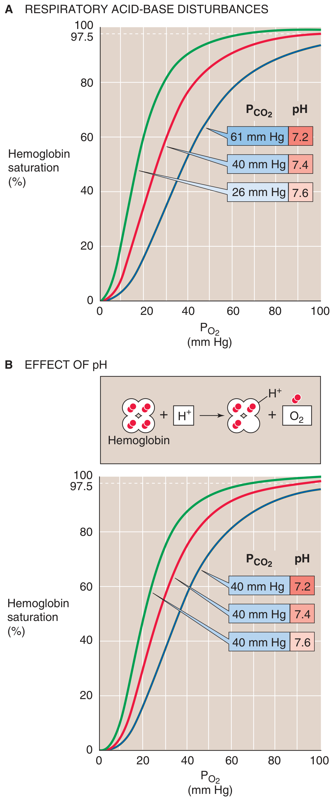 Respiratory acid-base disturbances and the Bohr effect - ODC shift with CO2 and pH changes