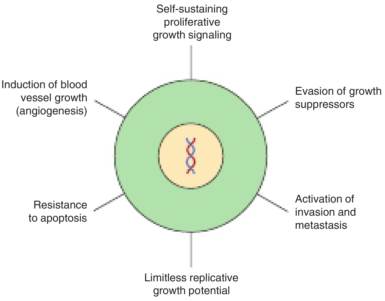 Major biological features of cancer cells - Harper's Illustrated Biochemistry
