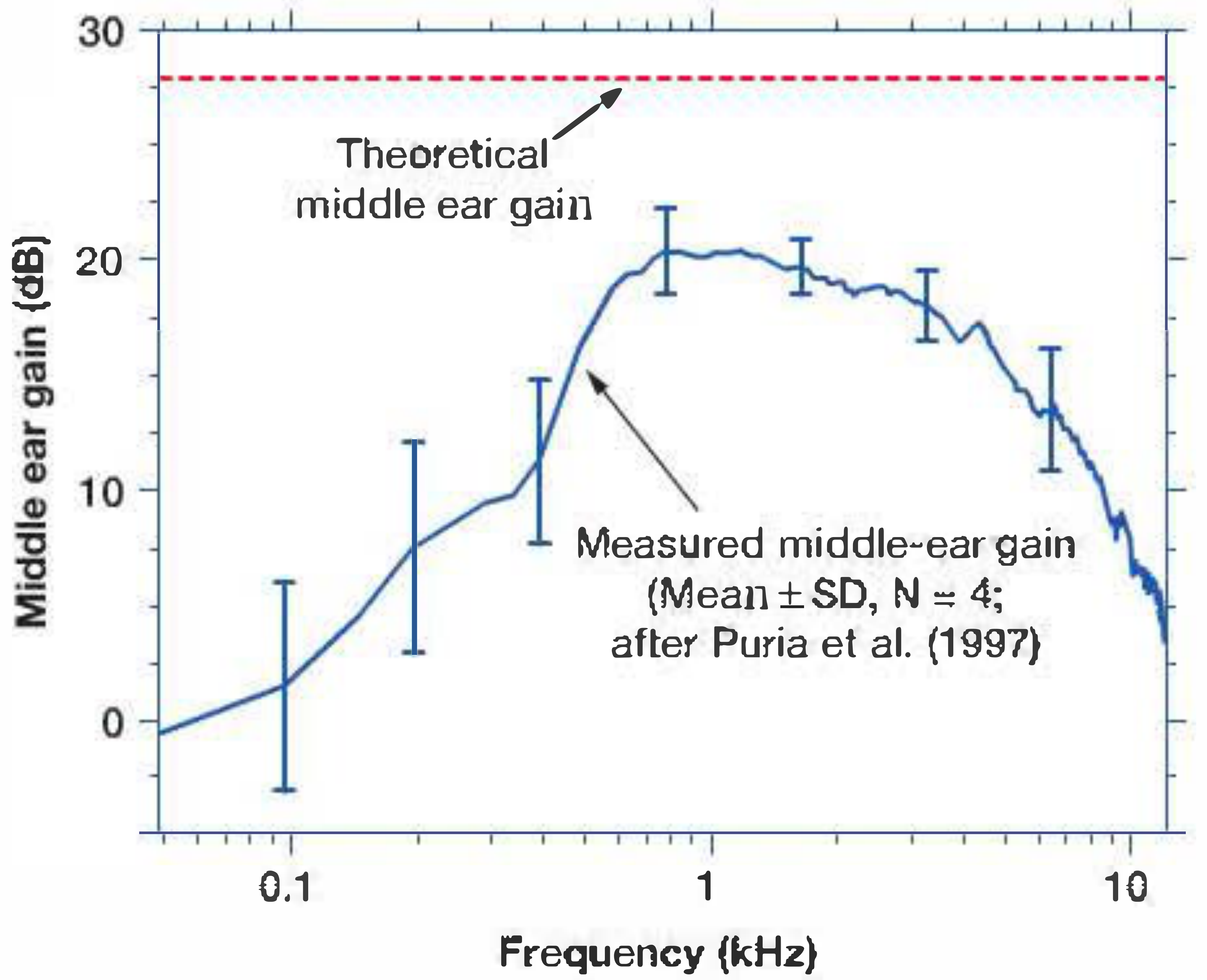 Graph showing middle ear gain (dB) vs frequency (kHz), with dashed red line at 28 dB representing theoretical middle ear gain, and blue curve showing measured gain (mean ± SD, N=4, after Puria et al. 1997) peaking at ~20 dB around 1 kHz and falling off at low and high frequencies