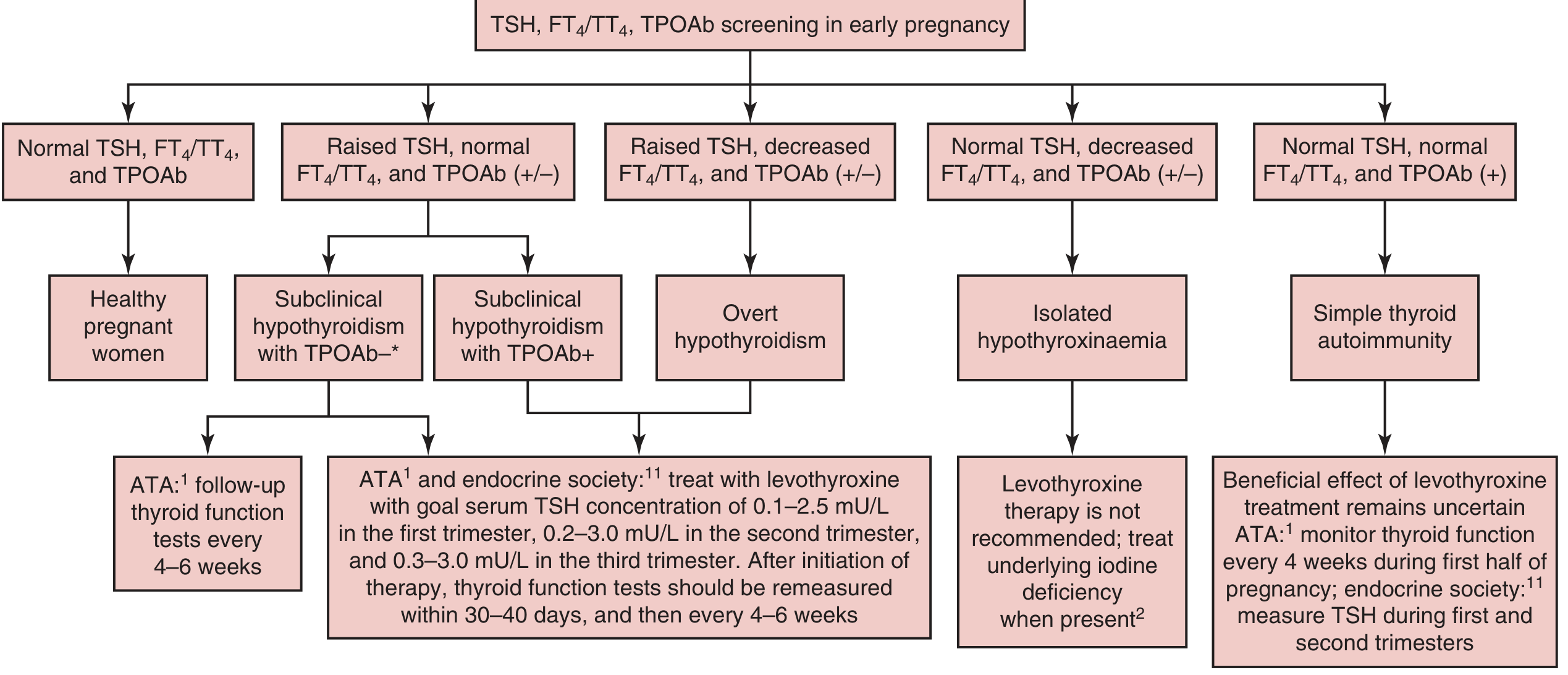 Screening, diagnosis, and management of hypothyroidism in pregnancy - ATA/Endocrine Society algorithm