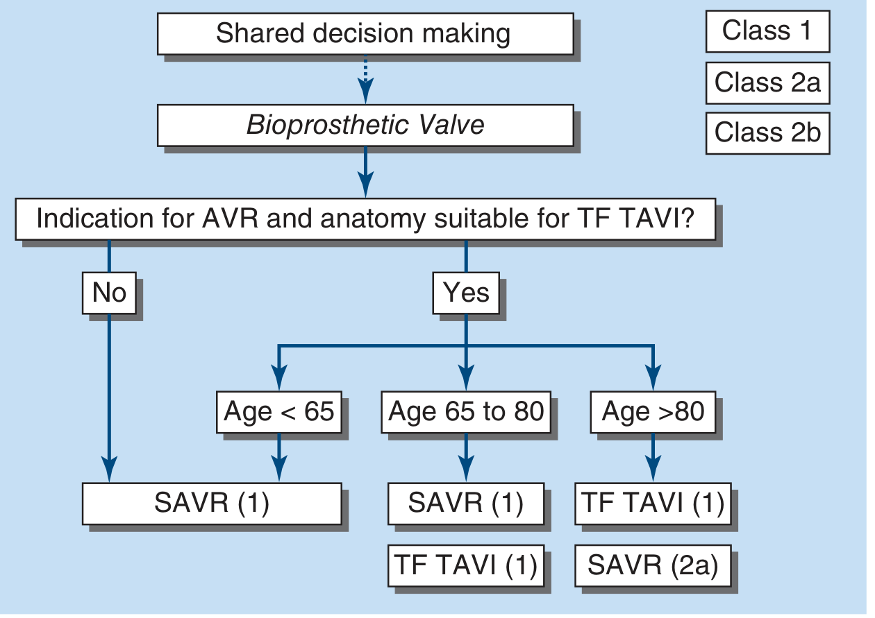 AHA/ACC decision algorithm flowchart: Shared decision making → bioprosthetic valve → Is anatomy suitable for TF-TAVI? If No → SAVR. If Yes → Age <65: SAVR (Class 1); Age 65-80: SAVR (1) or TF TAVI (1); Age >80: TF TAVI (1) preferred, SAVR (2a)