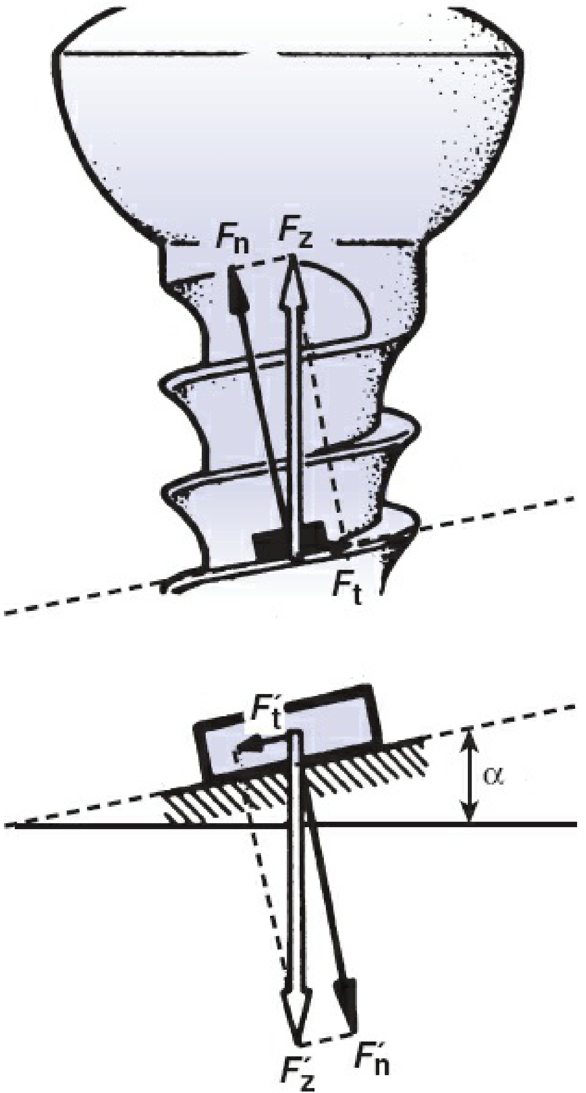 Screw biomechanics diagram showing forces Fn (normal/compressive), Ft (tangential/frictional), and angle alpha of thread