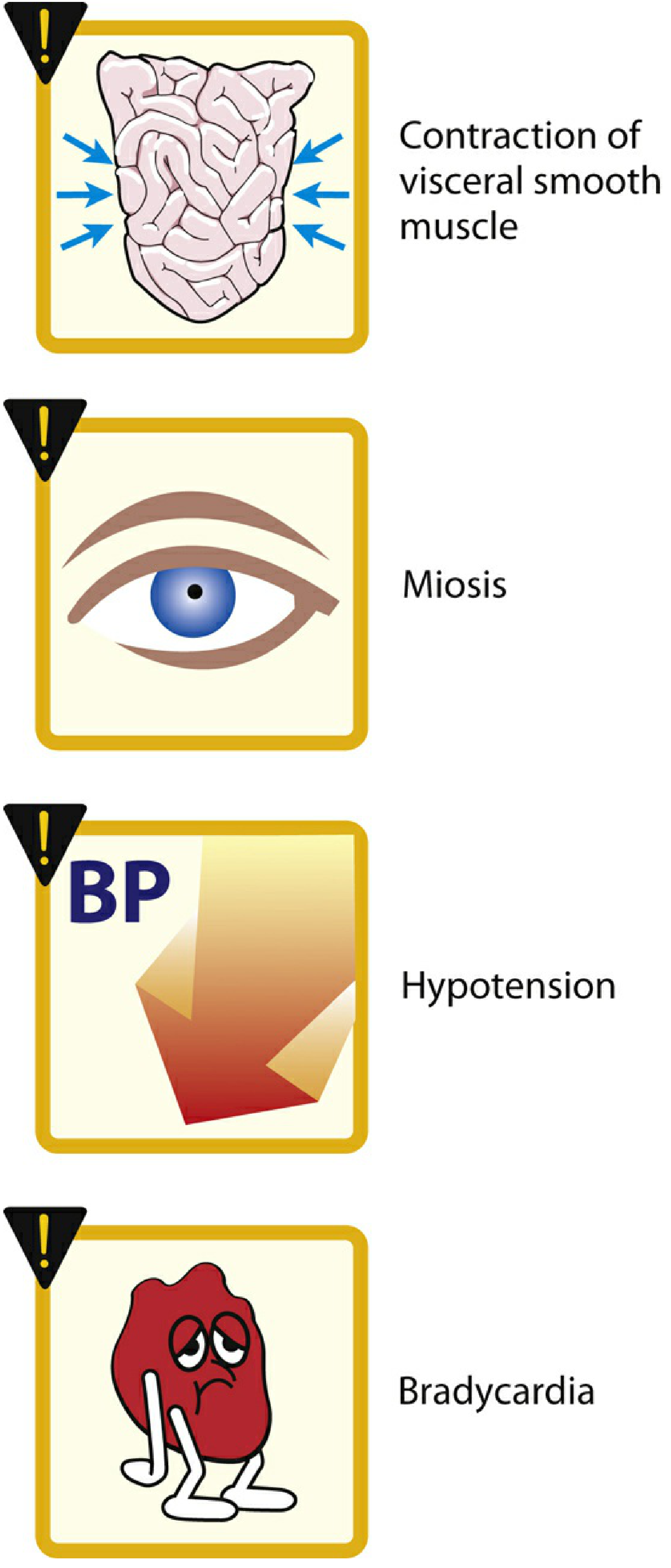 Some actions of physostigmine - showing visceral smooth muscle contraction, miosis, hypotension, and bradycardia