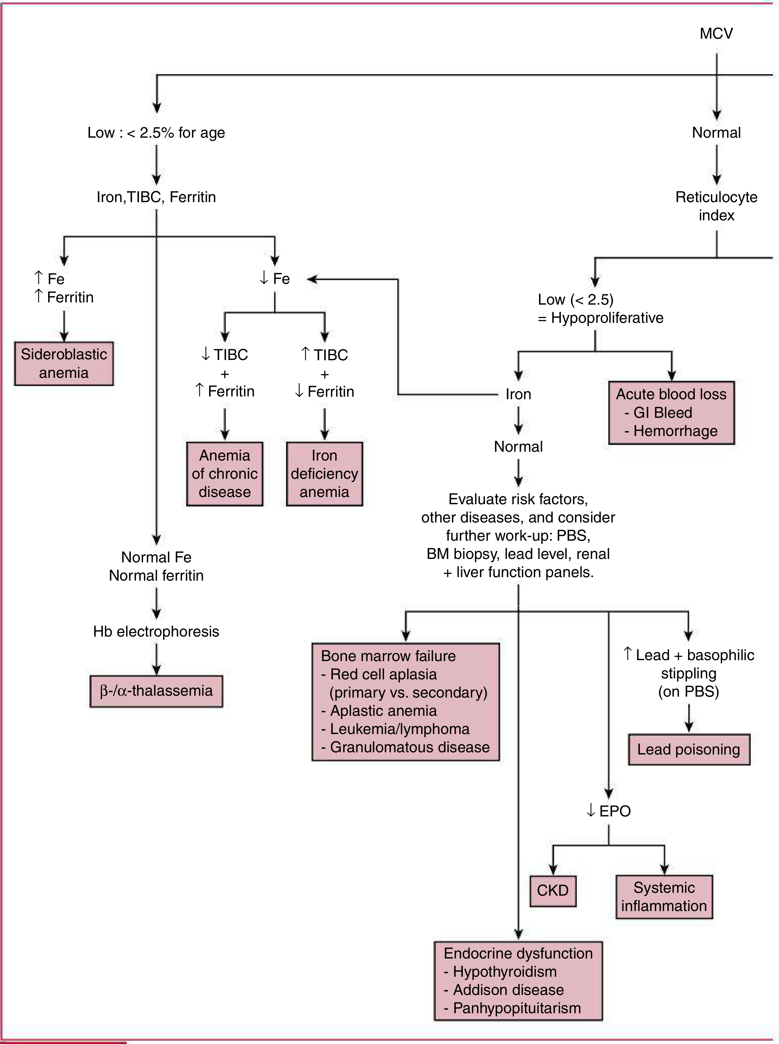Approach to Anemia in Pediatrics - Harriet Lane Handbook