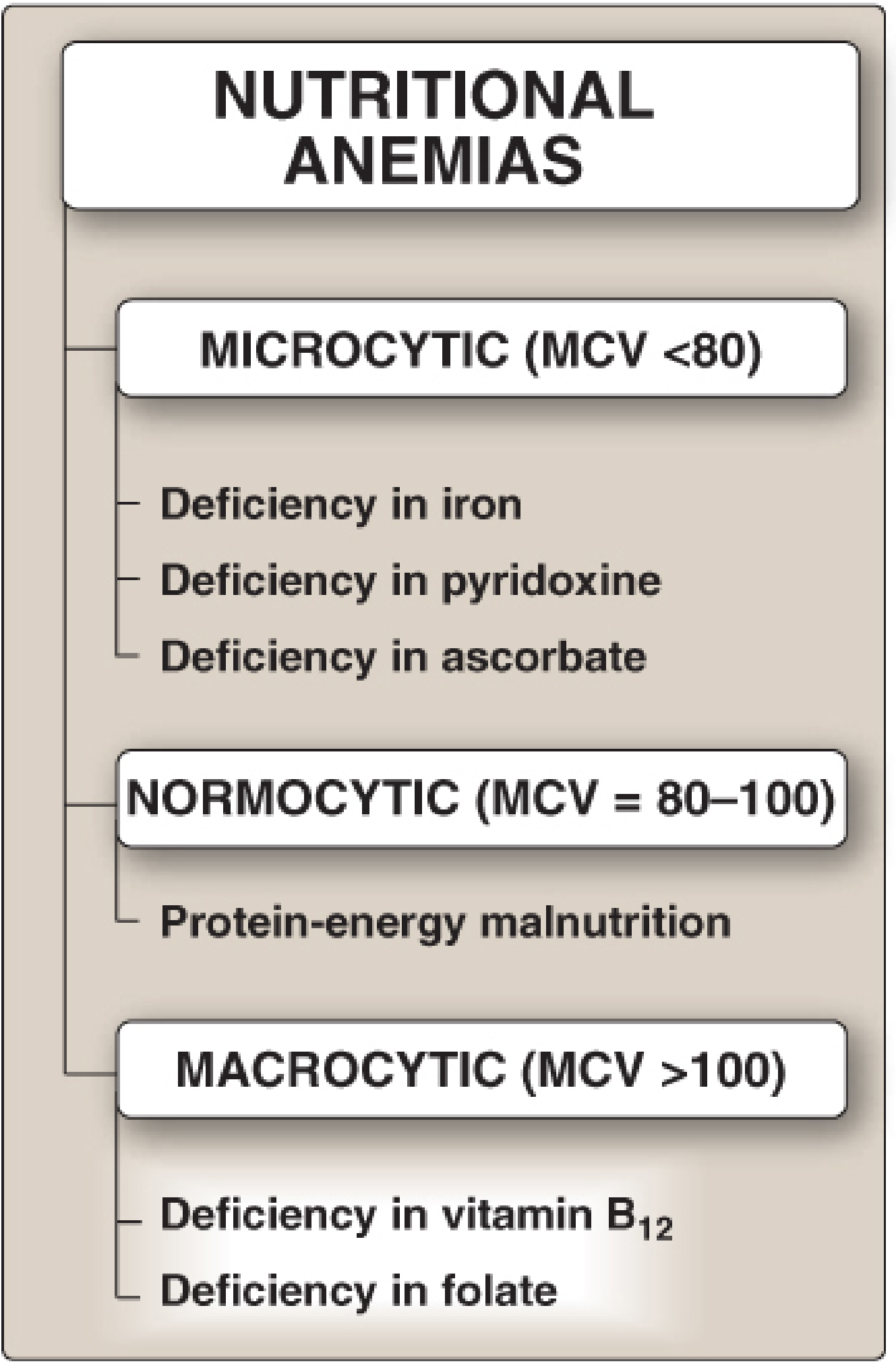 Classification of nutritional anemias