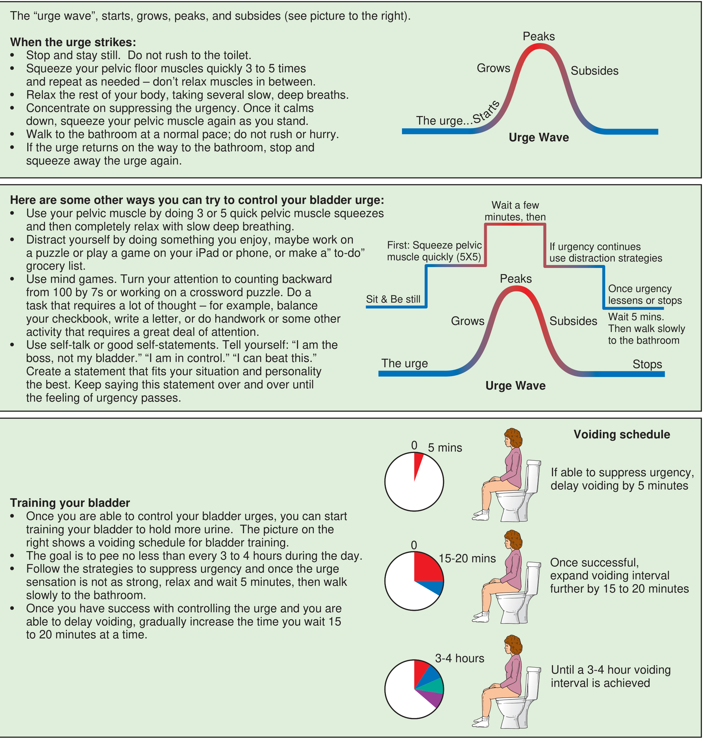 Urge wave suppression and bladder training guide