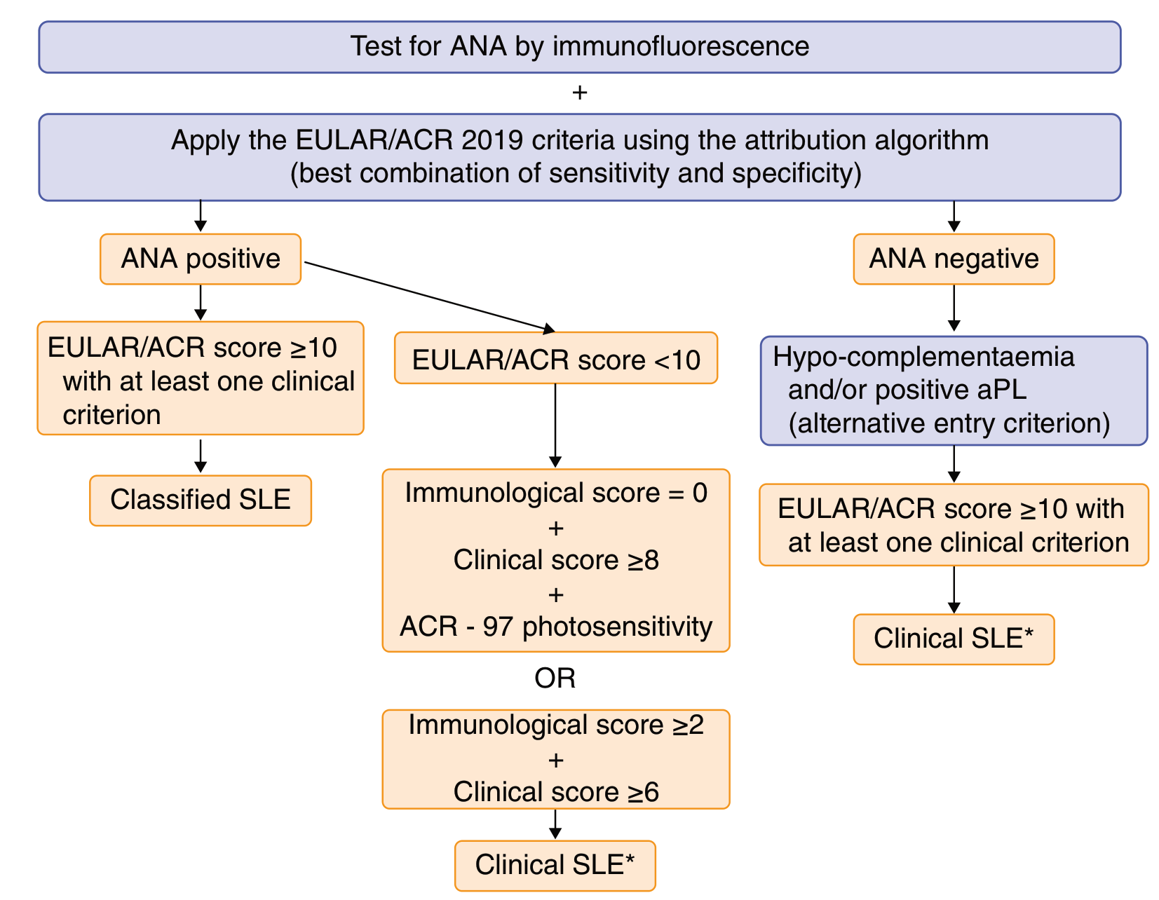 Diagnostic algorithm for SLE - EULAR/ACR 2019 criteria flowchart showing ANA testing, scoring, and classification thresholds