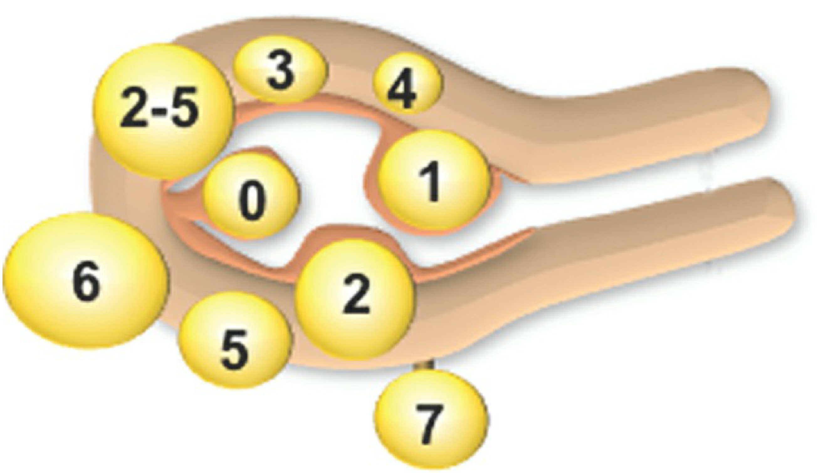FIGO Leiomyoma Classification System