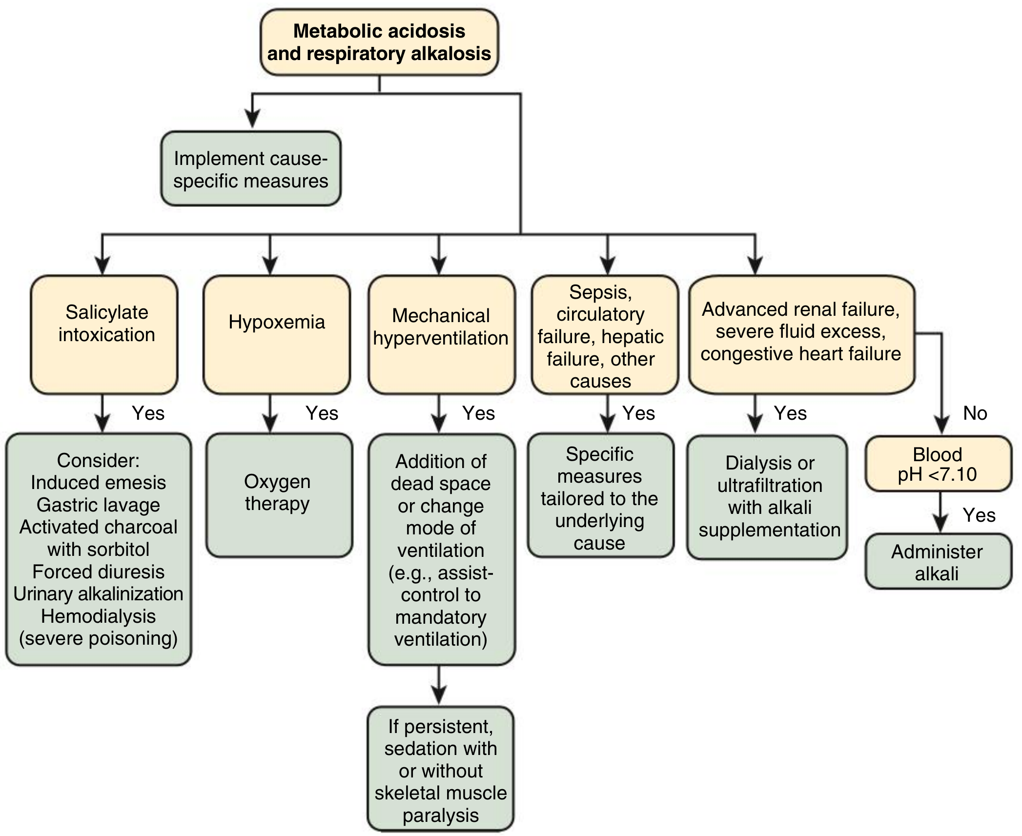 Treatment of metabolic acidosis and respiratory alkalosis — Comprehensive Clinical Nephrology