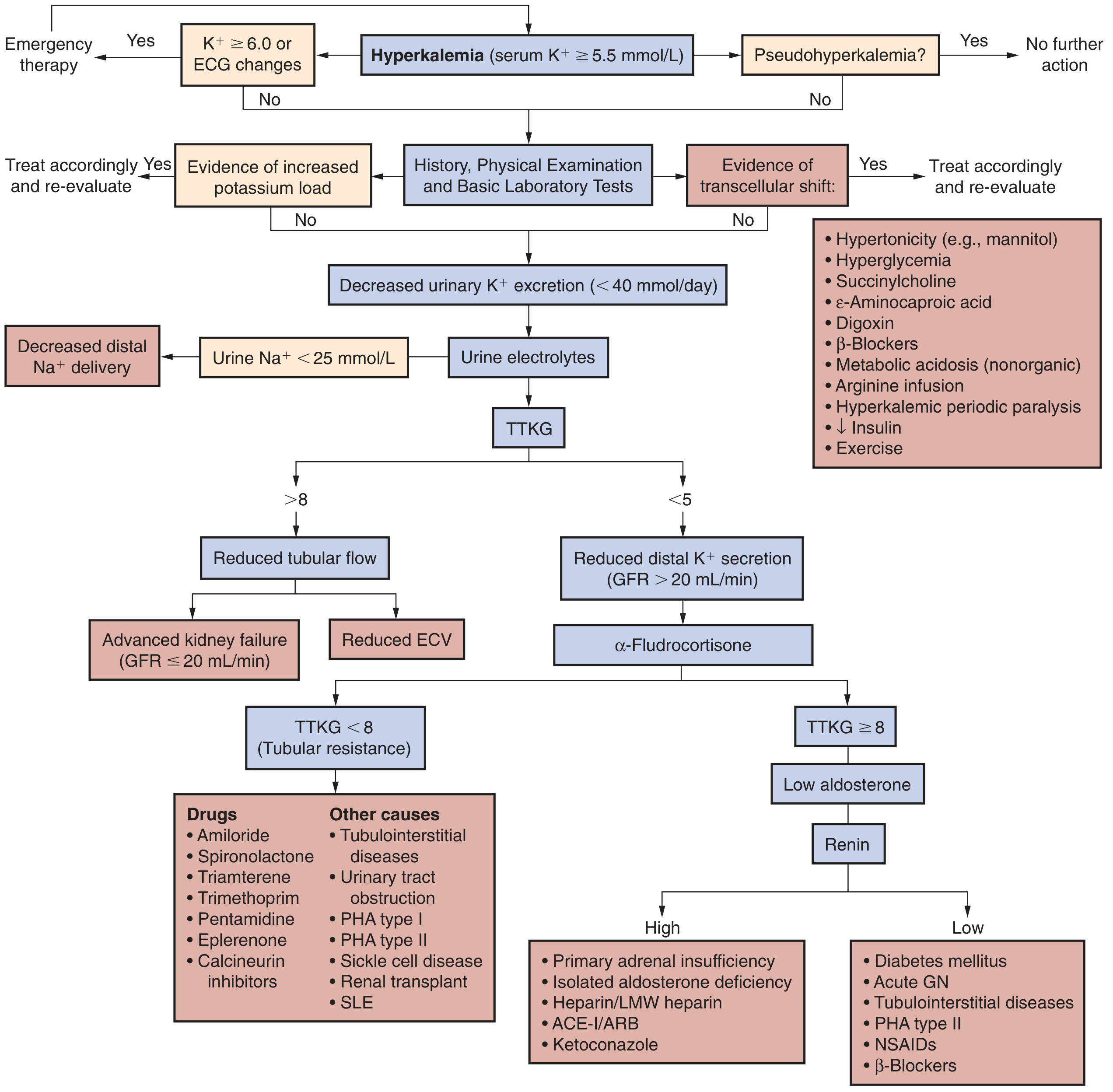 Hyperkalemia clinical approach flowchart