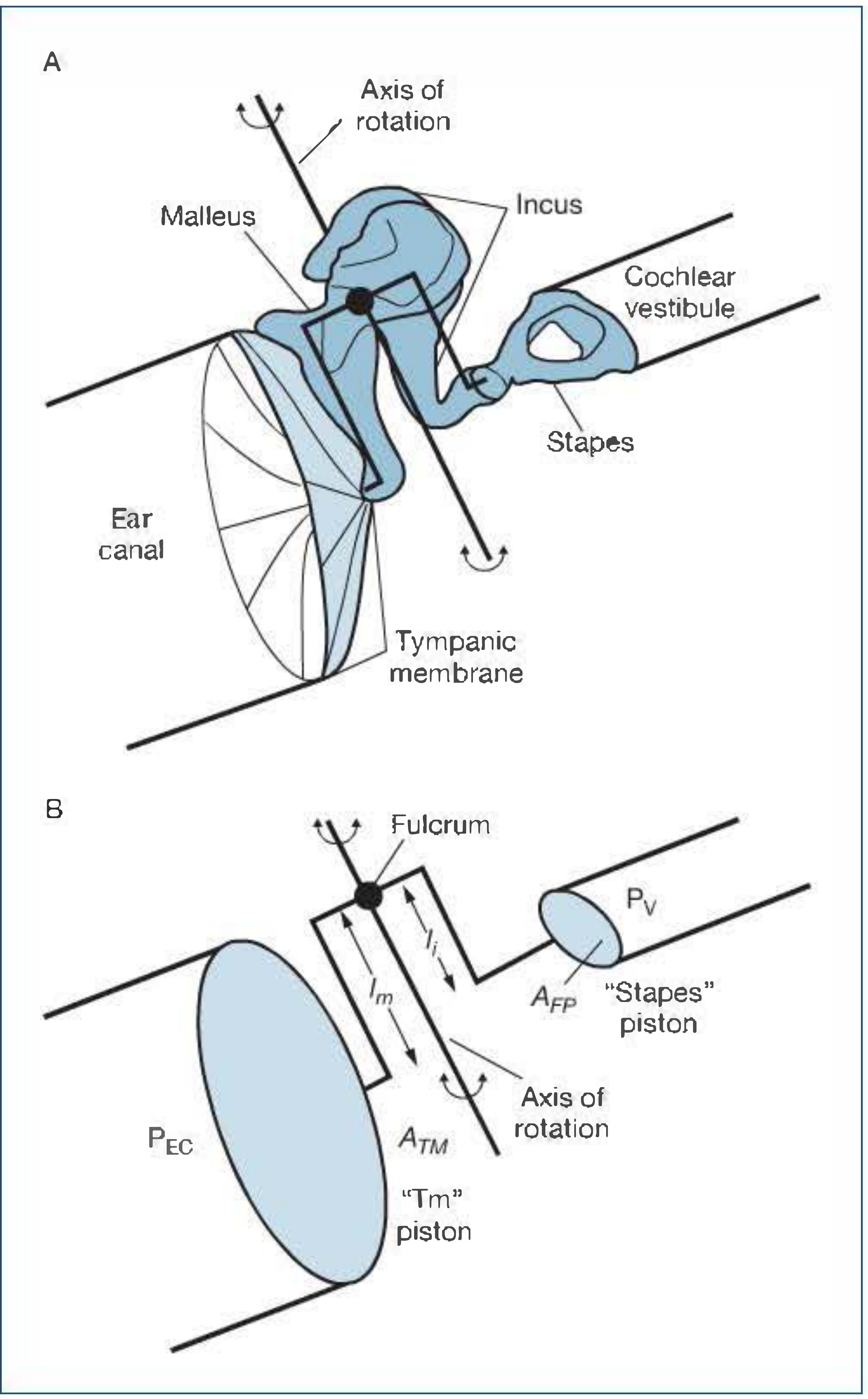 Schematic of middle ear impedance matching system showing tympano-ossicular system (A) and its mechanical analog (B), demonstrating the area ratio between TM piston and stapes footplate piston, with lever arms lm and li, fulcrum at axis of rotation, and resulting pressure transformation from P_EC to P_V
