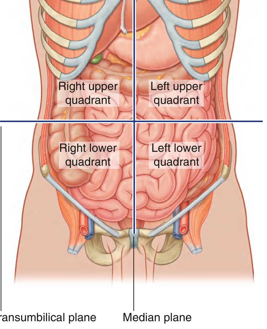 Four-quadrant topographical pattern