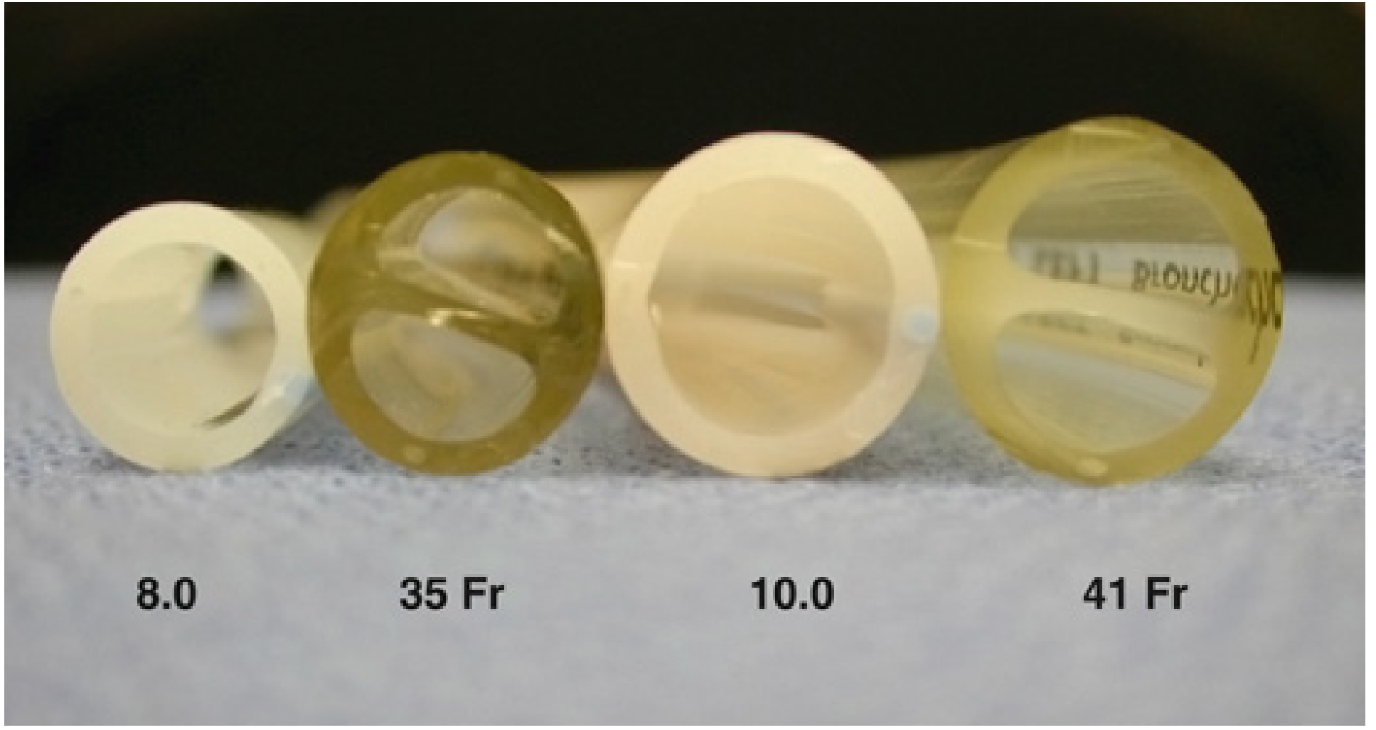 Cut cross-sections of single and double lumen tubes: 8.0 mm single-lumen ETT (smallest), 35 Fr DLT, 10.0 mm single-lumen, 41 Fr DLT (largest). Note the D-shaped dual lumens inside each DLT