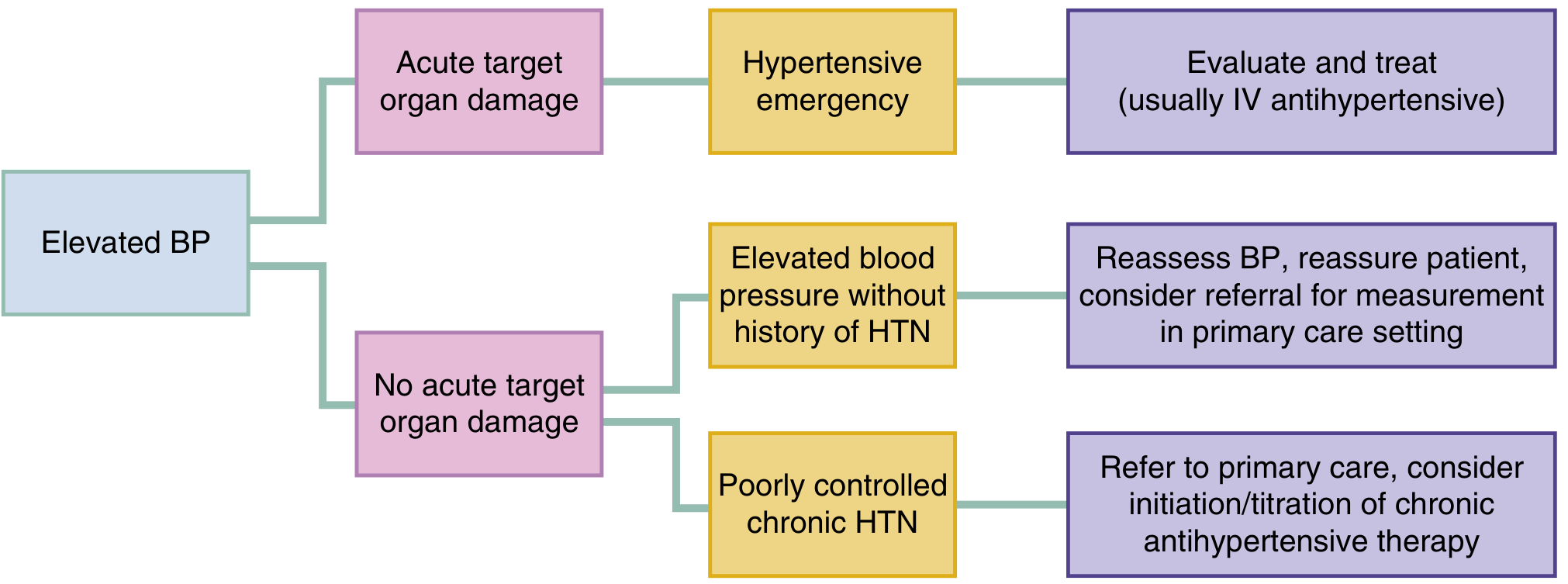 Approach to elevated BP in the ED