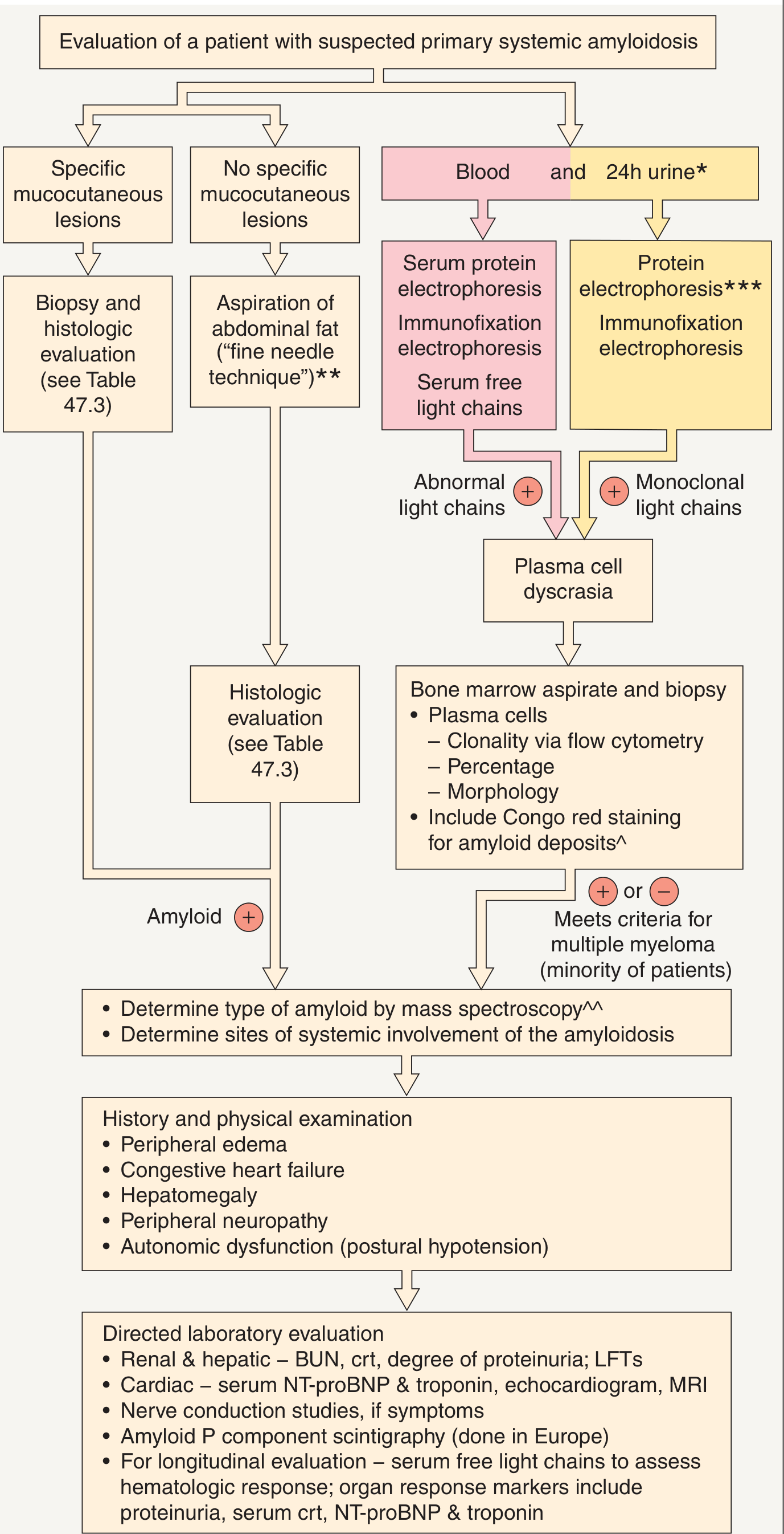 Diagnostic flowchart for evaluation of suspected primary systemic AL amyloidosis (Dermatology 5e, Fig. 47.11)