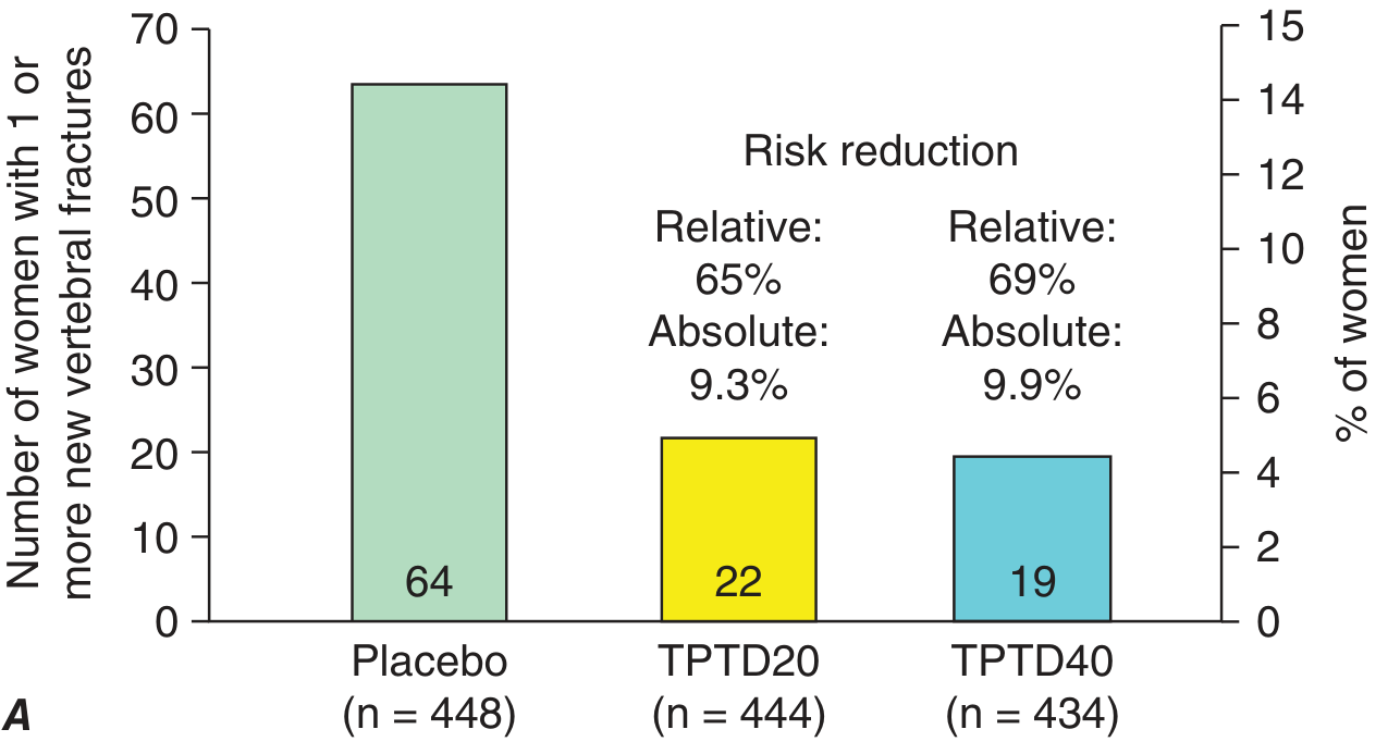 Teriparatide vertebral fracture risk reduction - TPTD20 reduced new vertebral fractures by 65% (relative) / 9.3% (absolute); TPTD40 by 69% relative / 9.9% absolute vs placebo