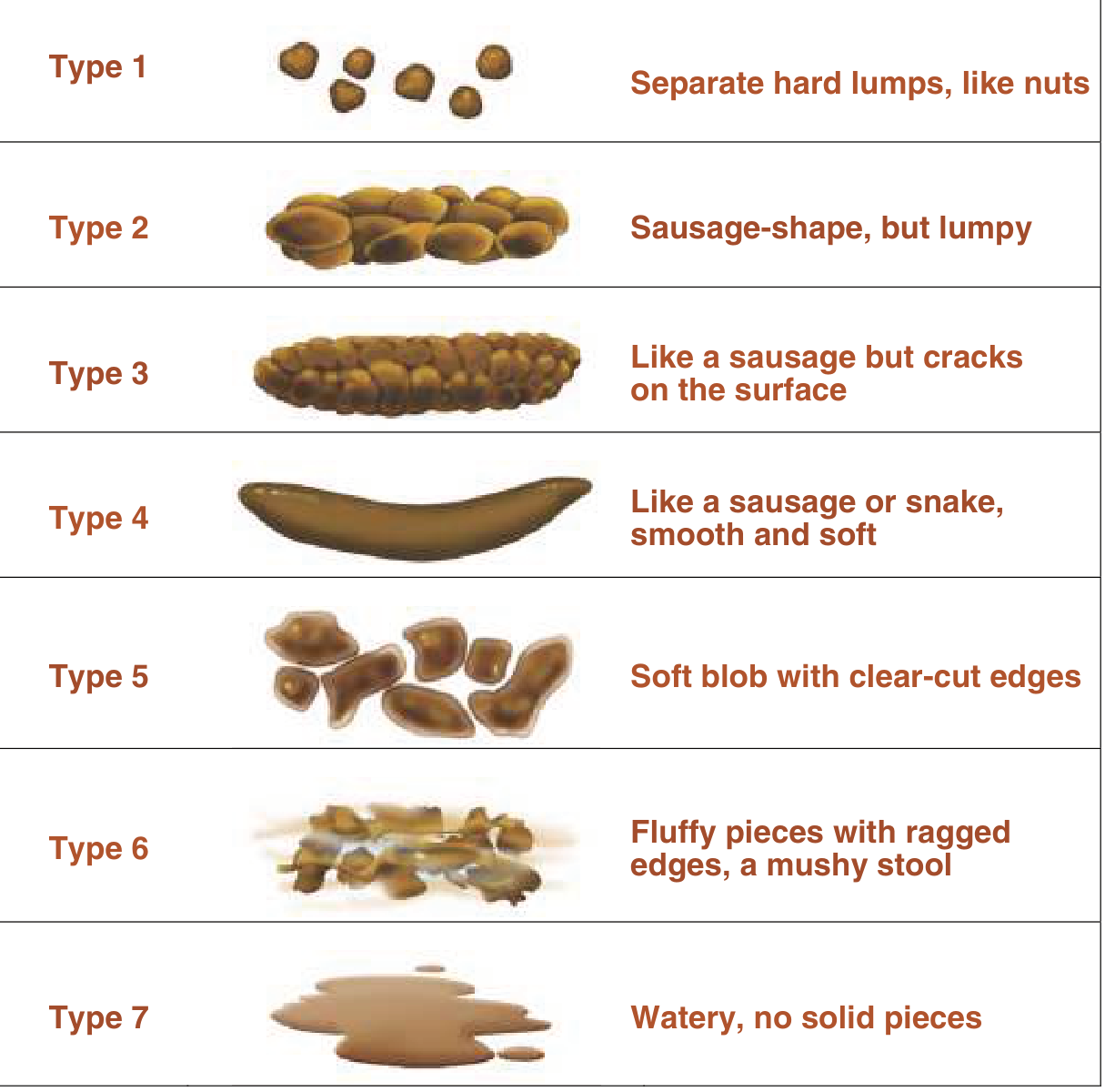 Bristol Stool Form Scale showing 7 stool types from hard lumps to watery