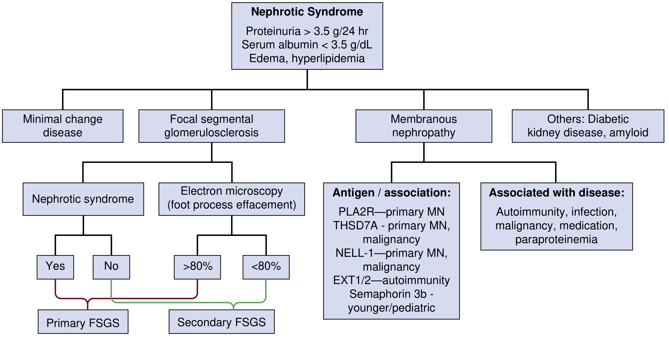 Classification of Nephrotic Syndrome - Etiology Flowchart